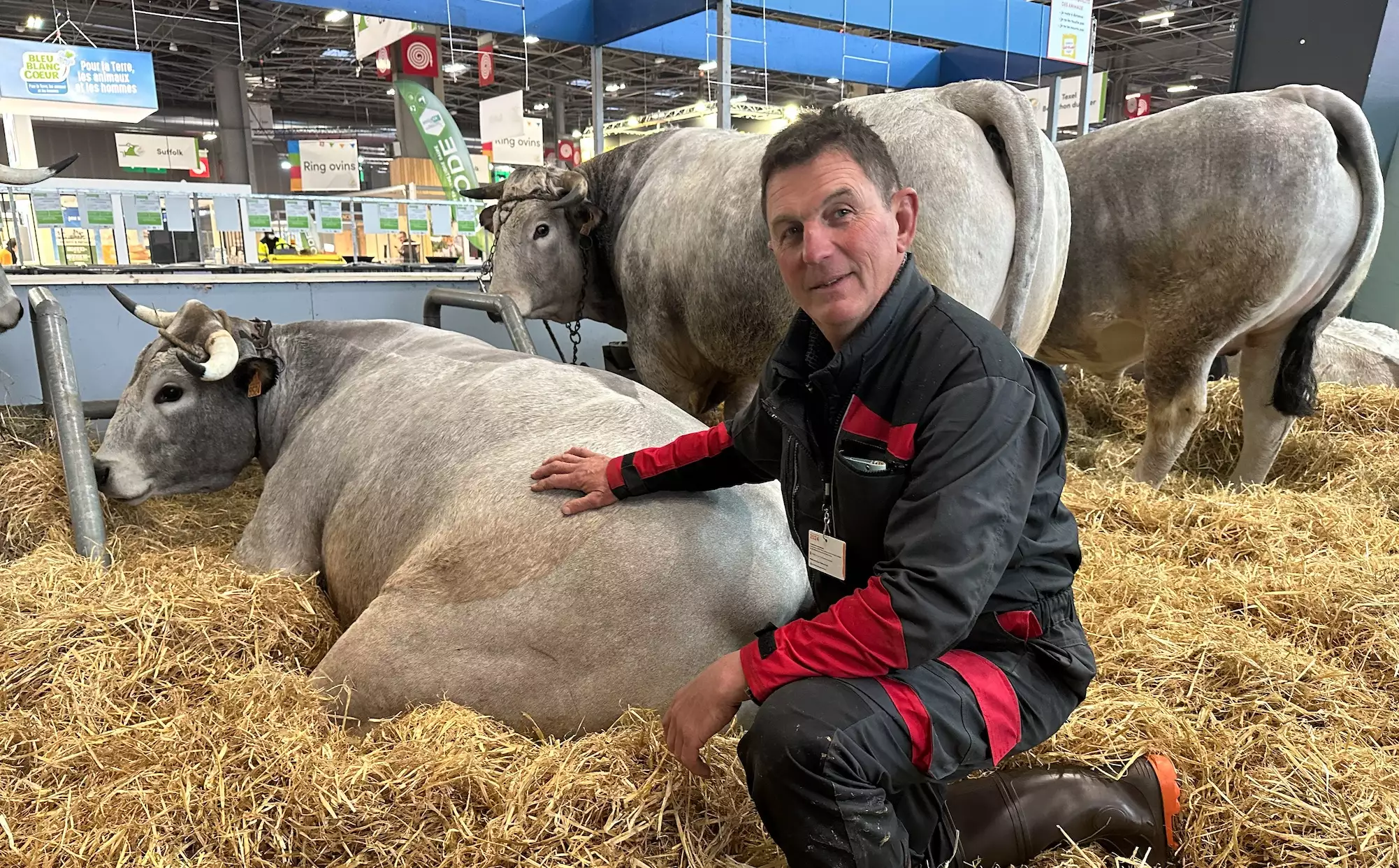 Thierry Pujolle et Pick, son bœuf de 5 ans qui concourt dans la catégorie « bœuf gascon Label Rouge » (Crédit photo : R. Lecocq)