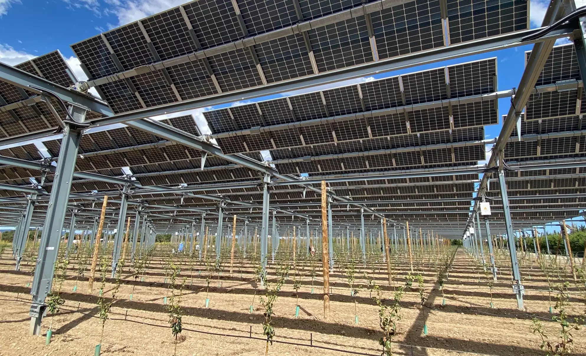 Acté dans un décret, le cadre réglementaire sanctuarise la primauté de la production agricole sur la production d’énergie, avec moult panneaux d’avertissement pour éviter tout risque de dévoiement (Crédit photo : R. Lecocq)