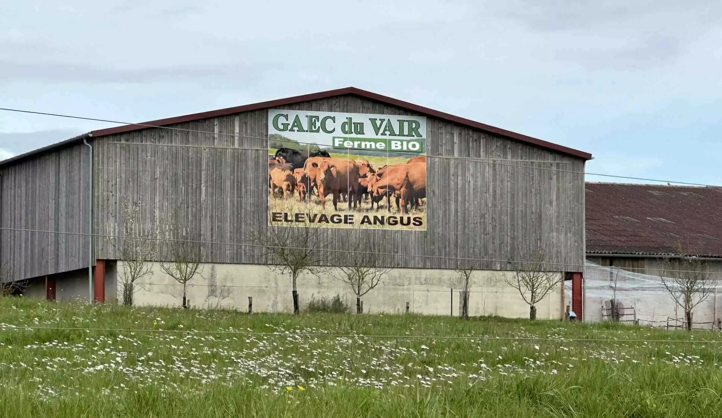 Selon la Conf’, la MAB permettrait de garder toutes les fermes déjà engagées en agriculture biologique et d’éviter les déconversions (Crédit photo : R. Lecocq)