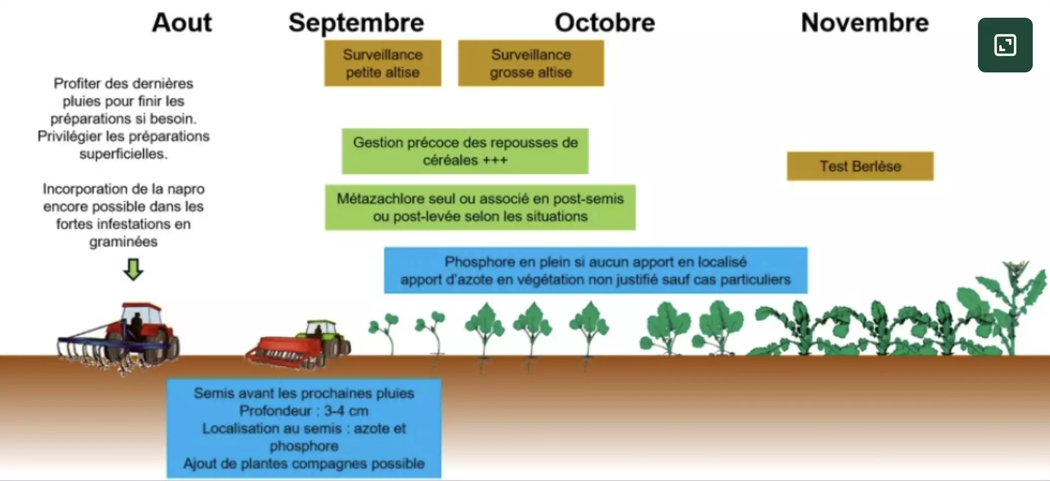 Récapitulatif des recommandations techniques (Source : Terre Inovia)