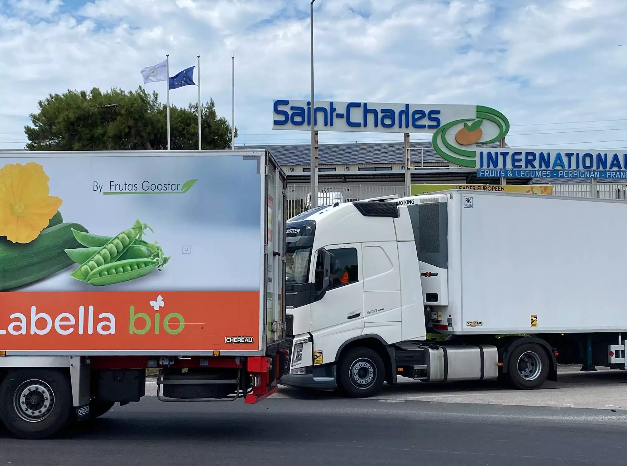 Les fruits et légumes frais remportent la palme du déficit de la balance commerciale agricole et agroalimentaire (Crédit photo : R. Lecocq)