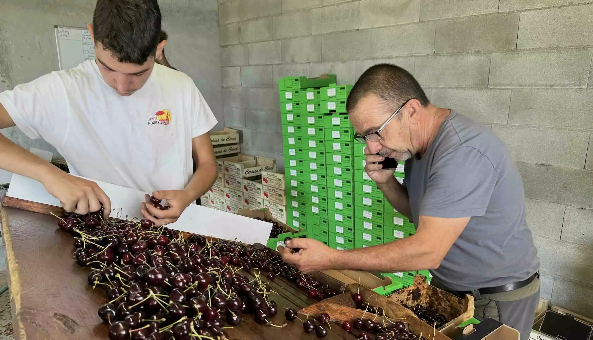 Au moyen d’un questionnaire en ligne, « C’est qui le patron ?! » invite les consommateurs à fixer le prix d’achat de la cerise en rayon, en définissant le mode de production et le niveau de marge consenti au producteur (Crédit photo : R. Lecocq)