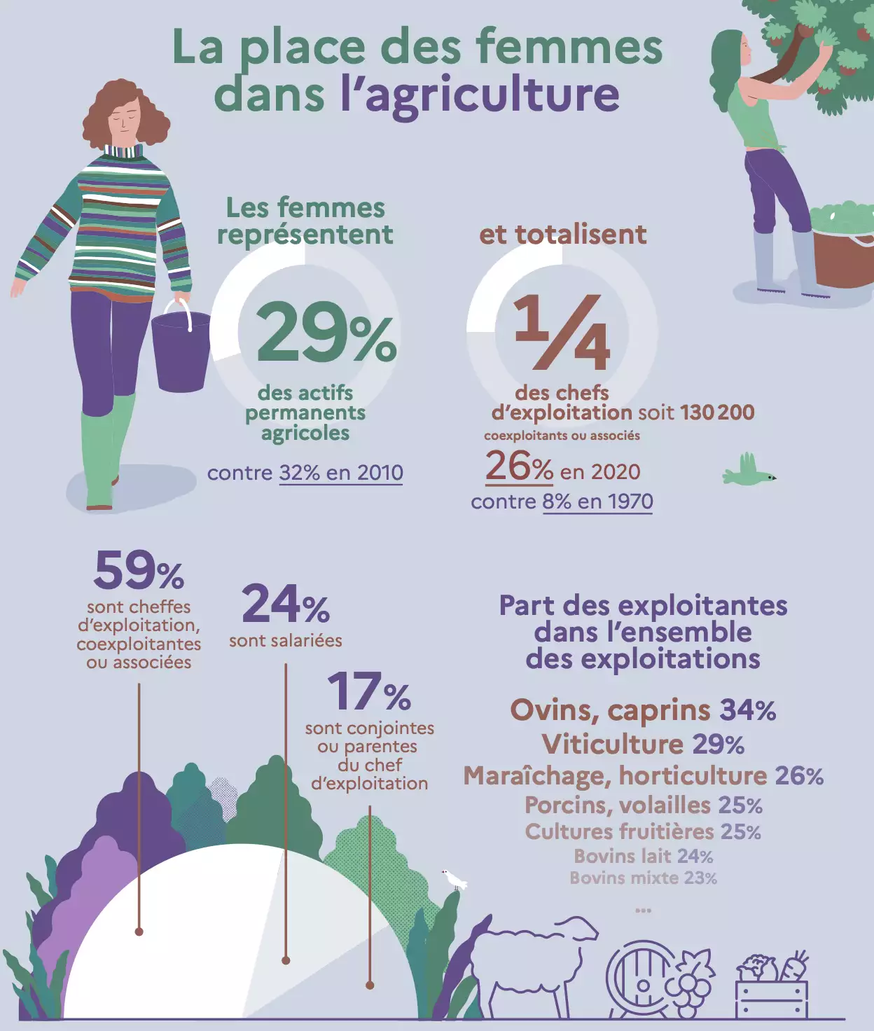 La place des femmes en agriculture (Source : ministère de l’Agriculture)
