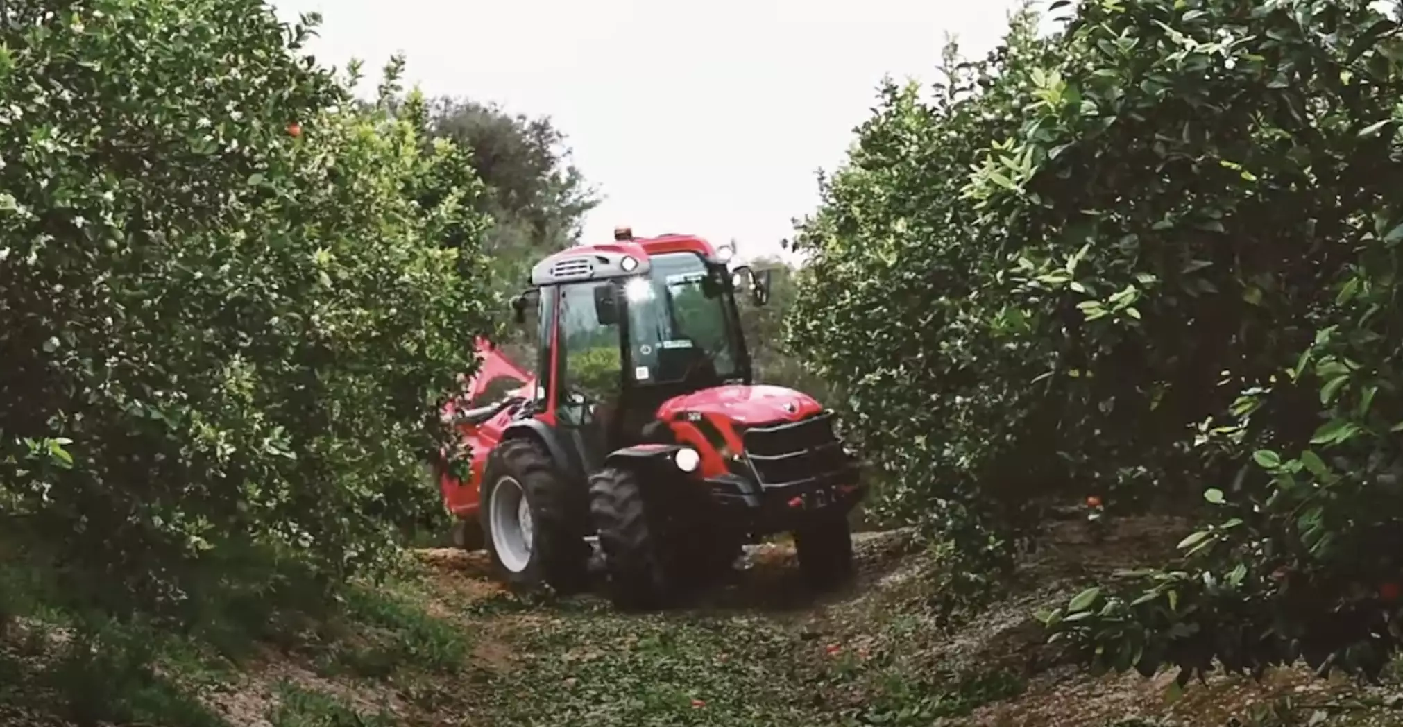 Le Tony 8900 TRG se caractérise par la réversibilité à 180° du poste de conduite (siège, volant et joystick Multi Controller) (Crédit photo : Antonio Carraro)