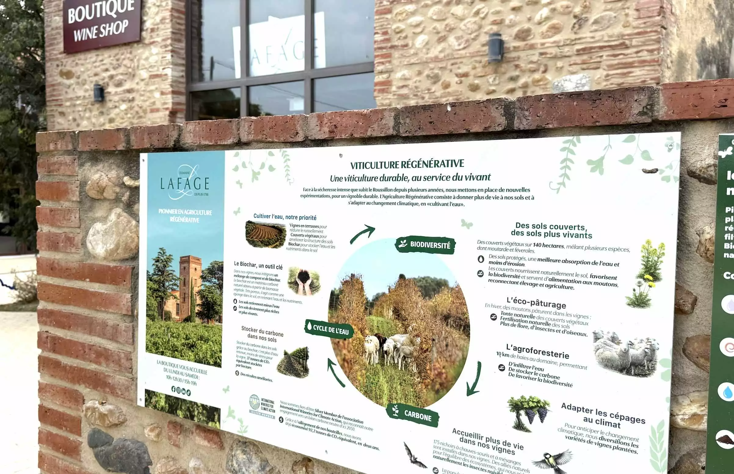 Le domaine a obtenu la certification Viticulture Régénérative AGW (A Greener World) sur l'ensemble de ses terroirs à partir du millésime 2025 © R. Lecocq