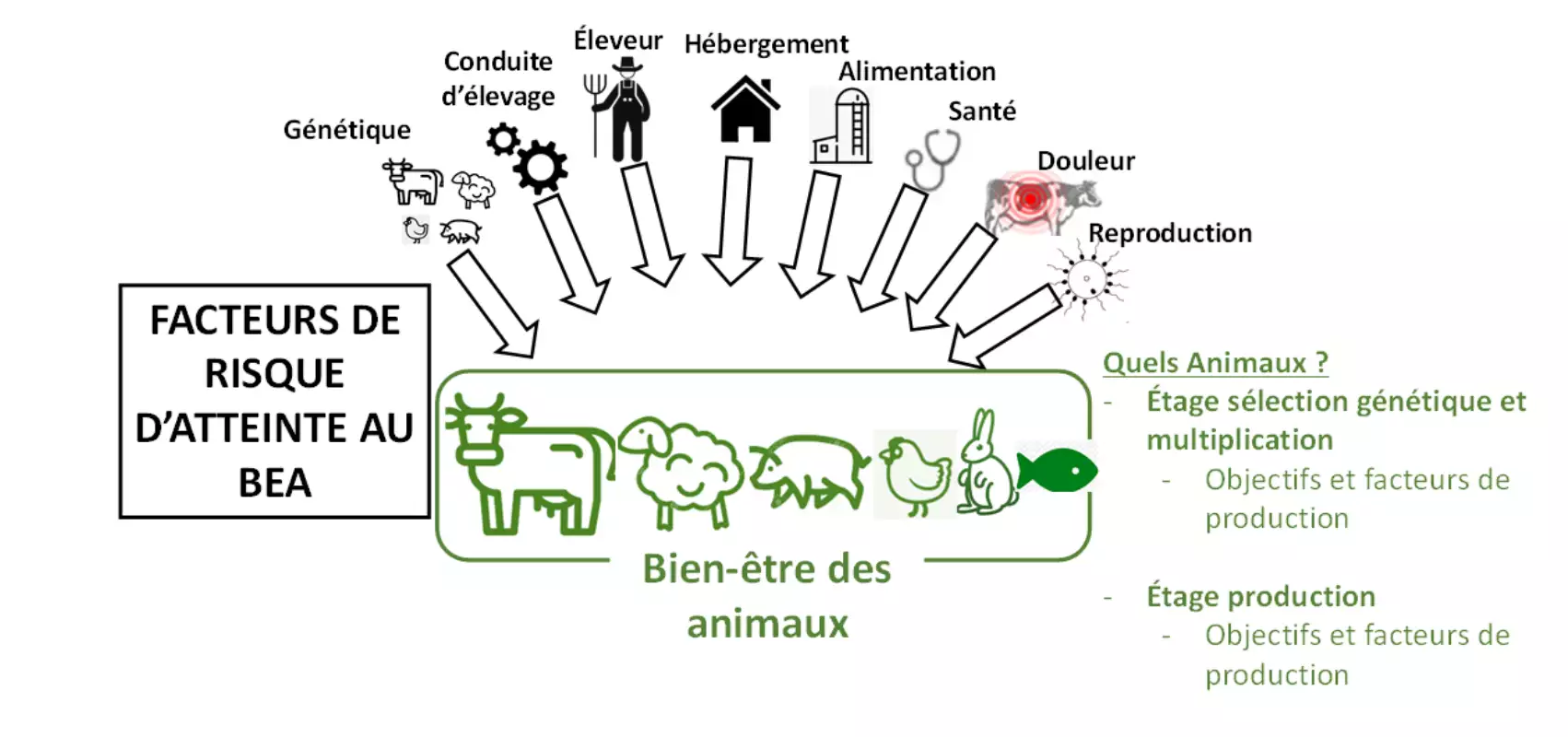 Les 8 facteurs de risque d’atteinte au BEA aux trois étapes de vie d’un animal (Source : Anses)