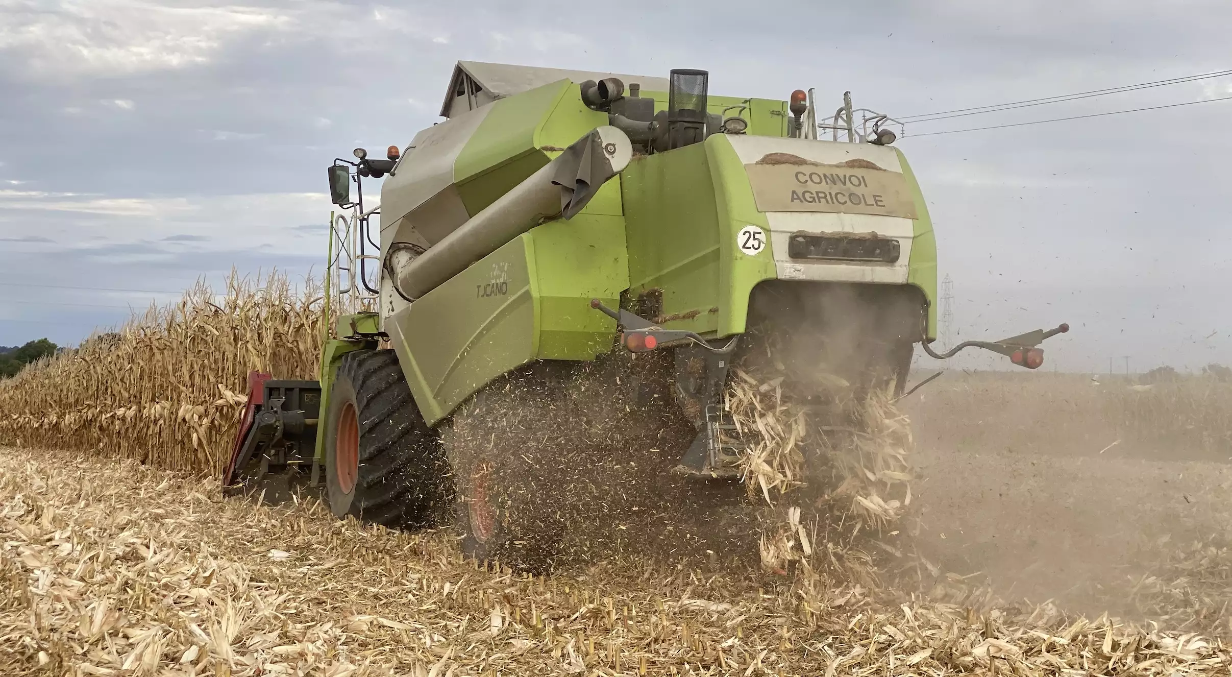 Le rendement moyen du maïs grain est estimé à 92,4 q/ha contre 101,0q/ha en 2024 (Crédit photo : R. Lecocq)