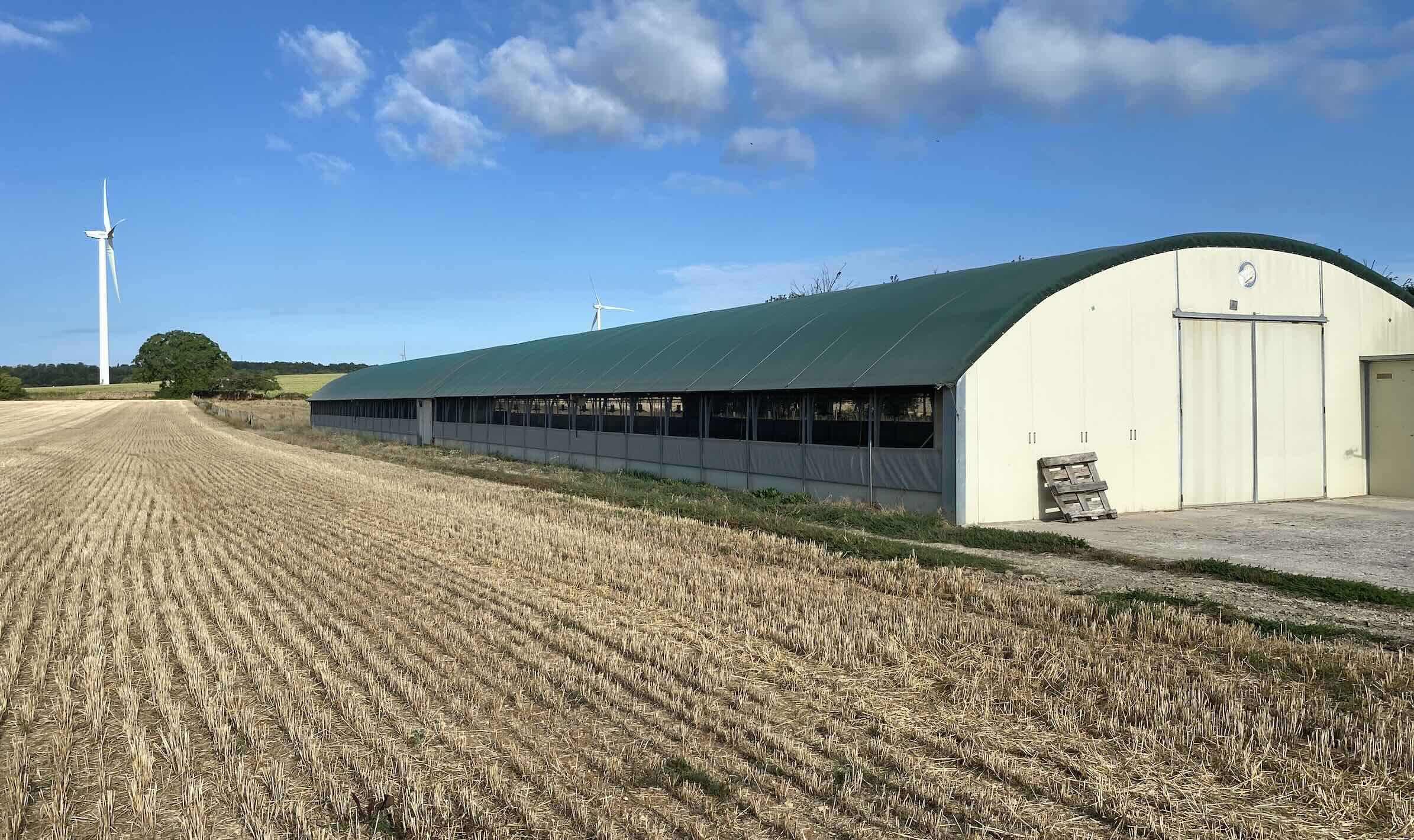 En poulet comme en bovin, la gestion de l’atelier grandes cultures pourrait être améliorée car elle génère pour une majorité d’exploitations des frais fixes trop élevés au regard de son intérêt économique (Crédit photo : R. Lecocq)