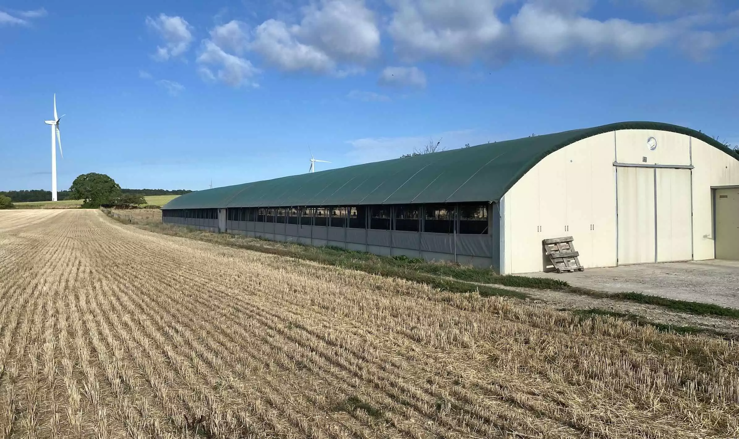 En poulet comme en bovin, la gestion de l&rsquo;atelier grandes cultures pourrait &ecirc;tre am&eacute;lior&eacute;e car elle g&eacute;n&egrave;re pour une majorit&eacute; d&rsquo;exploitations des frais fixes trop &eacute;lev&eacute;s au regard de son int&eacute;r&ecirc;t &eacute;conomique (Cr&eacute;dit photo&nbsp;: R. Lecocq)