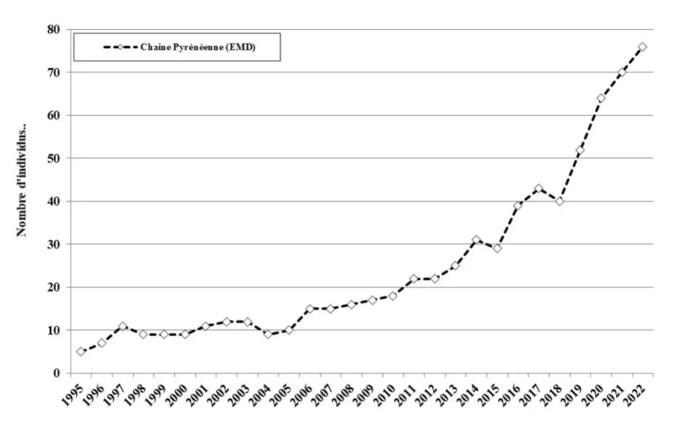 Evolution de l’Effectif minimal détecté (EMD) dans les Pyrénées depuis 1995 (Source : Office français de la biodiversité)