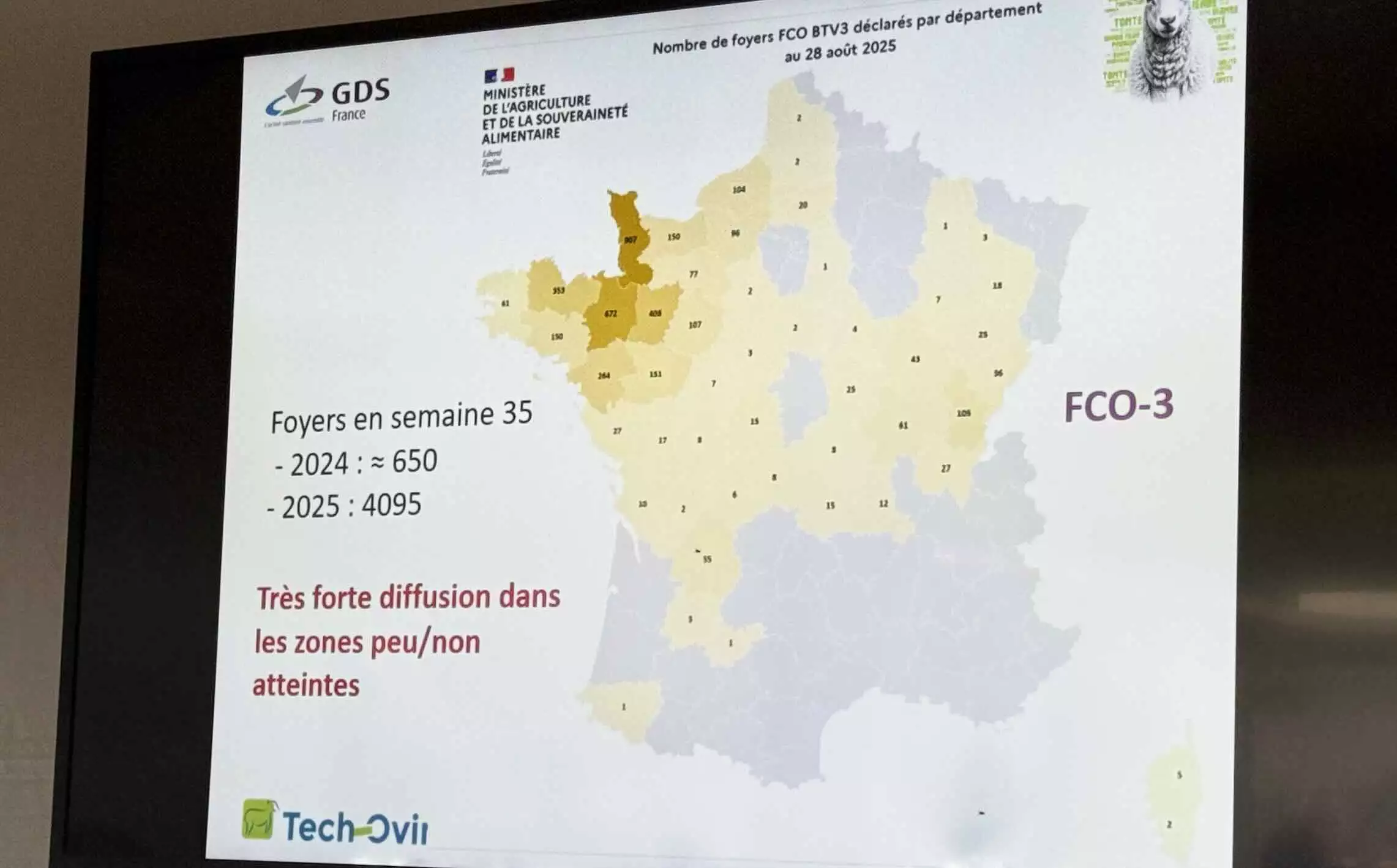 Situation de la FCO-3 en semaine 35 (25-31 août) (Source : DGAL – GDS France)