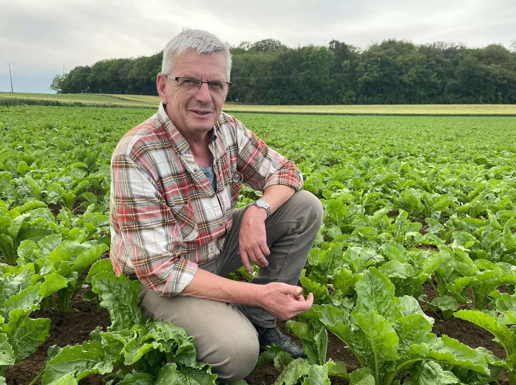 Christophe Andrieux cultive entre 5 et 6 ha de betteraves fourragères et en récolte plus de 120 ha pour le compte de ses clients