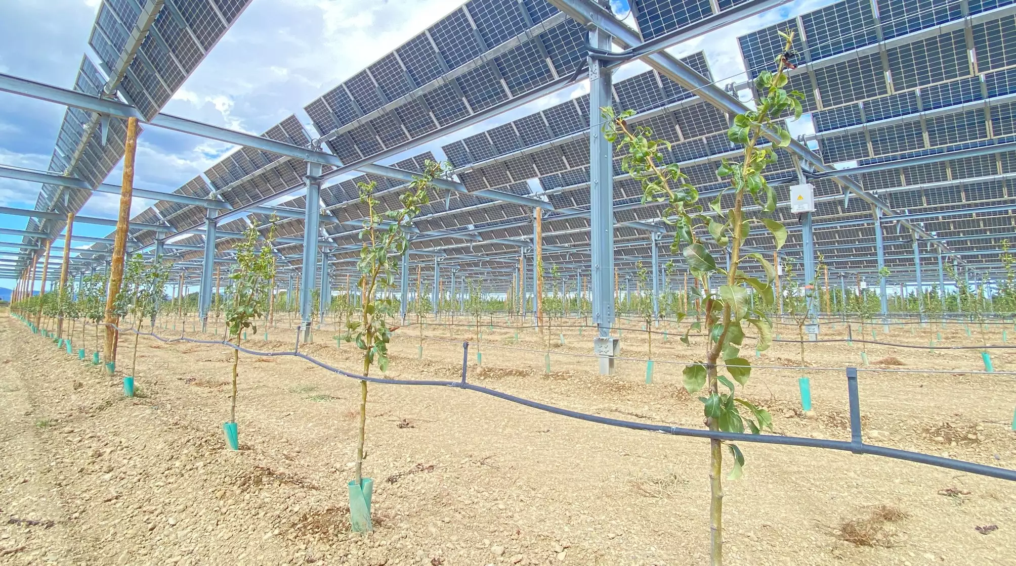 En 2023, Sun’Agri revendique 22 sites en opération ou en construction, en vigne, arboriculture et maraichage