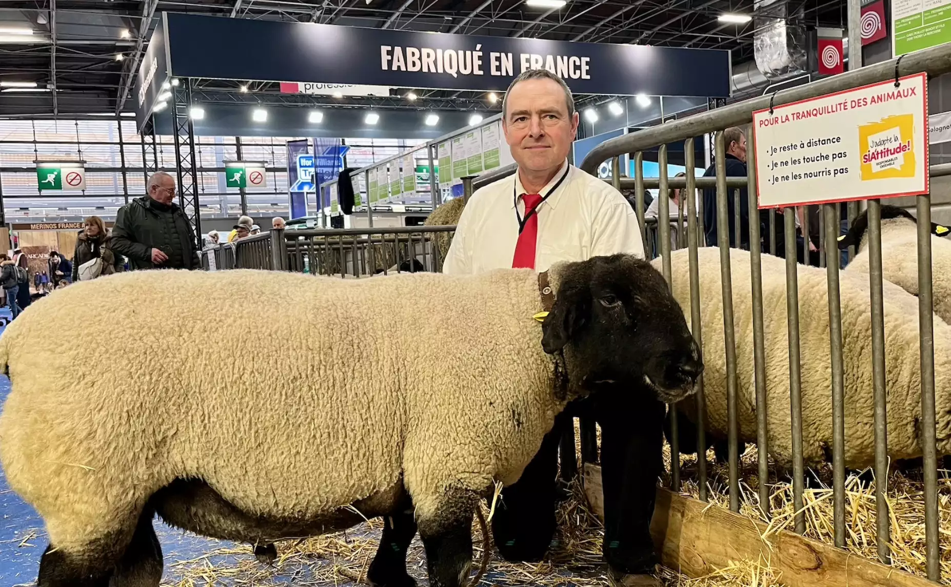 Benoît Poillot, éleveur de mouton de race Suffolk (Crédit photo : Louise Delaroa)