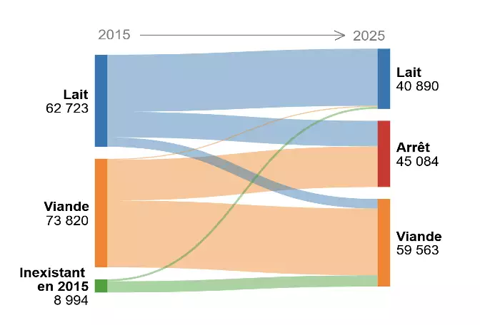 Trajectoire des &eacute;levages laitiers et allaitants sur la p&eacute;riode 2015-2025 (Source&nbsp;: Agreste)
