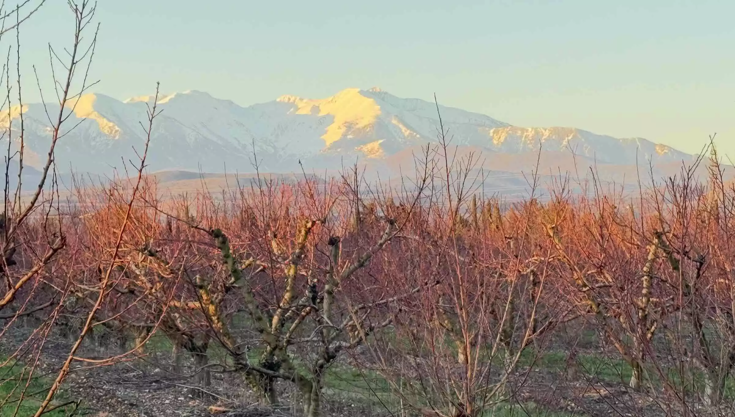 Le Pic du Canigó (2785 m) le 31 décembre 2025 : la neige, tombée en abondance, contribuera à recharger nappes et réserves dans les semaines à venir