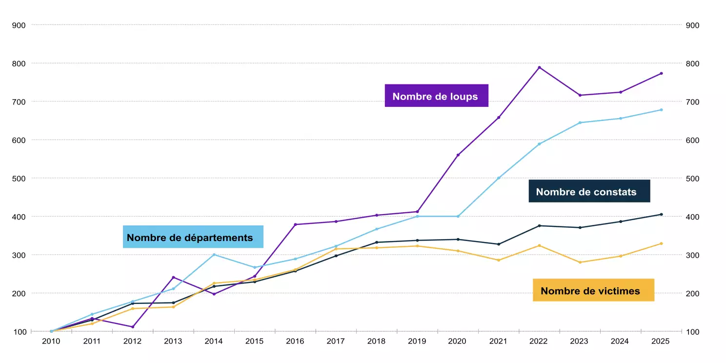 Évolution comparée du nombre de constats, de victimes et de la population lupine sur une base 100 en 2010 (Source : Commission des affaires économiques du Sénat)