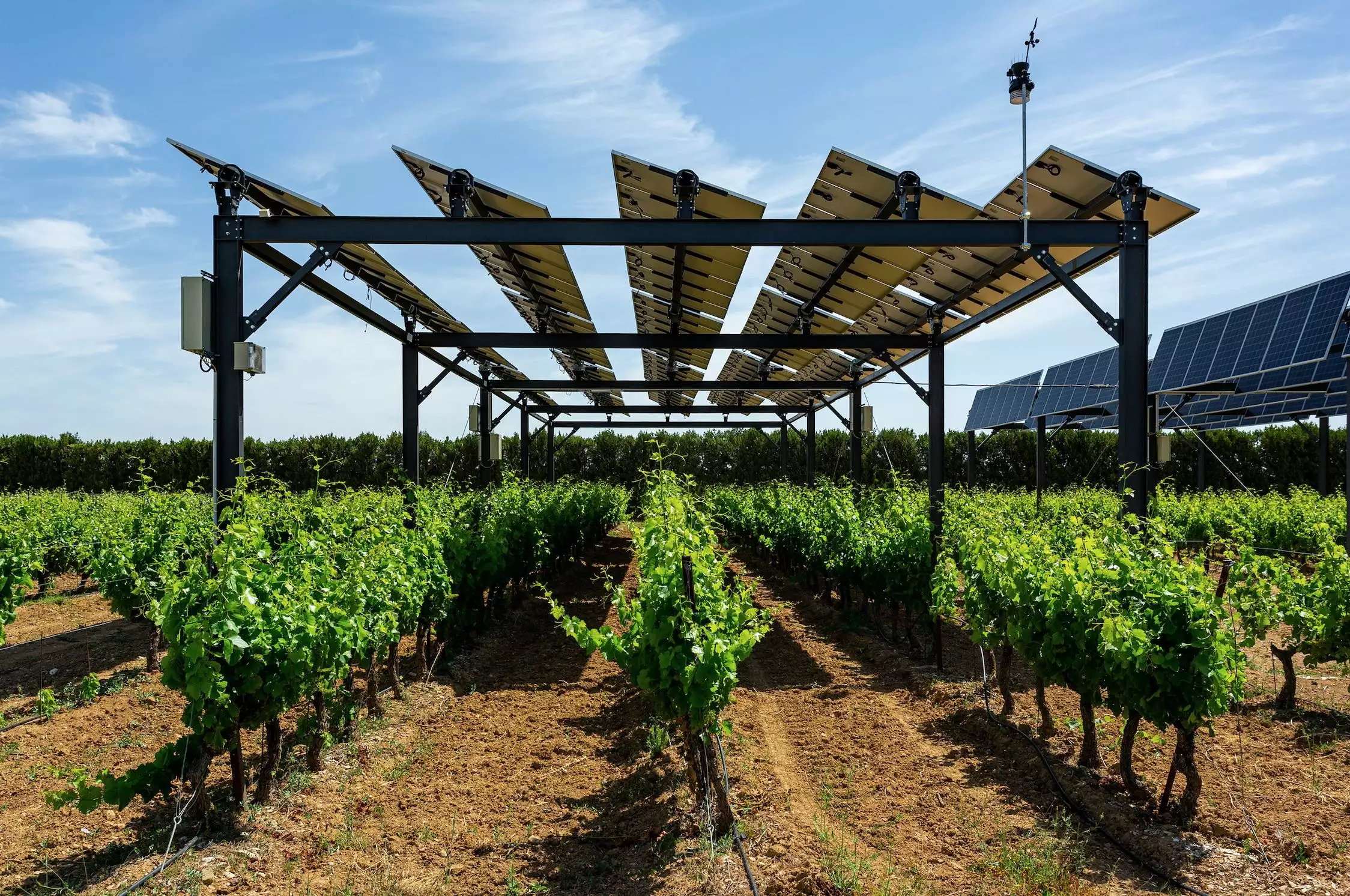 Le démonstrateur de Sun’Agri à Piolenc dans le Vaucluse (Crédit photo : Sun’Agri)
