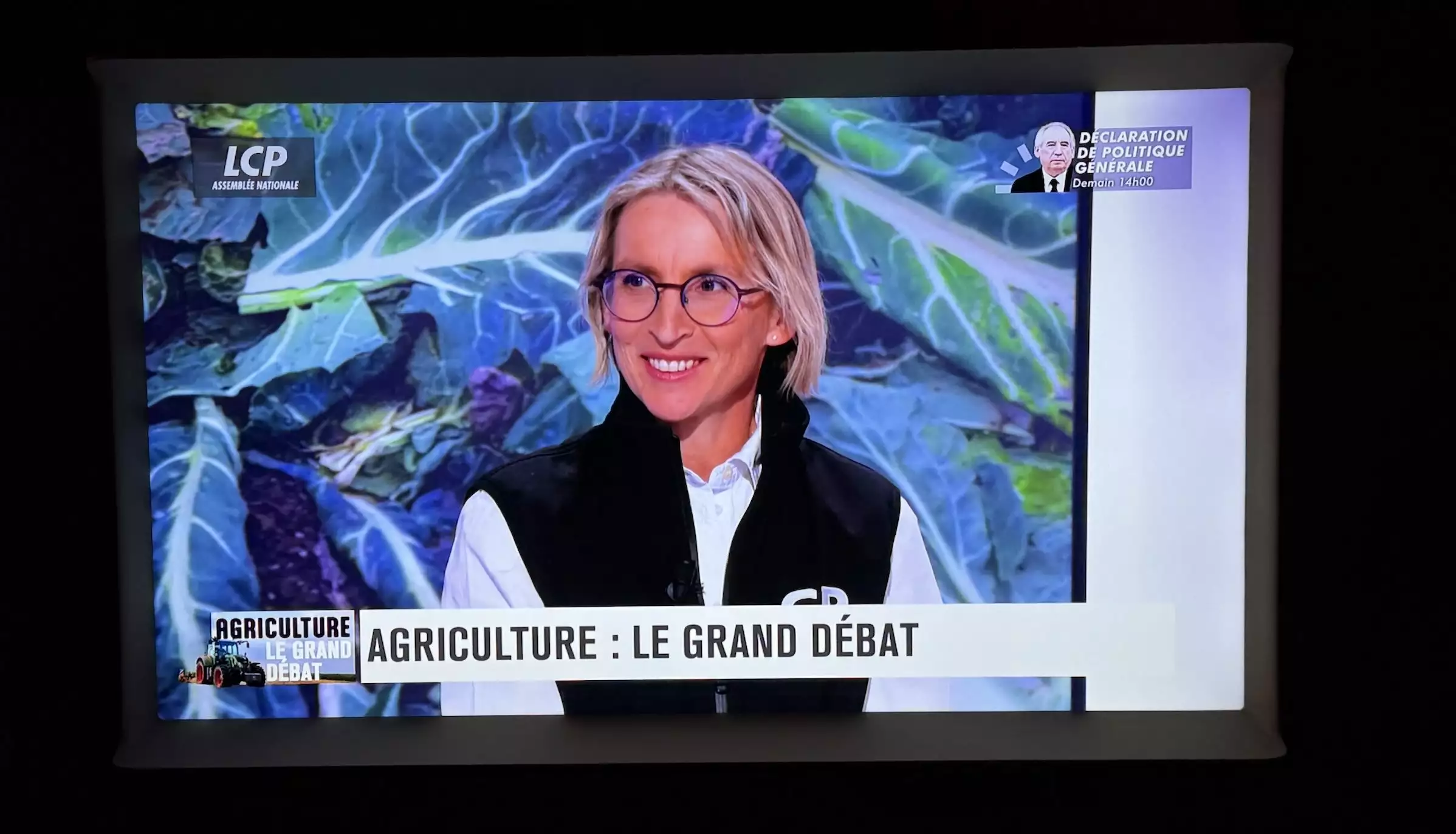 Véronique Le Floc’h, présidente de la Coordination rurale © LCP-Assemblée nationale