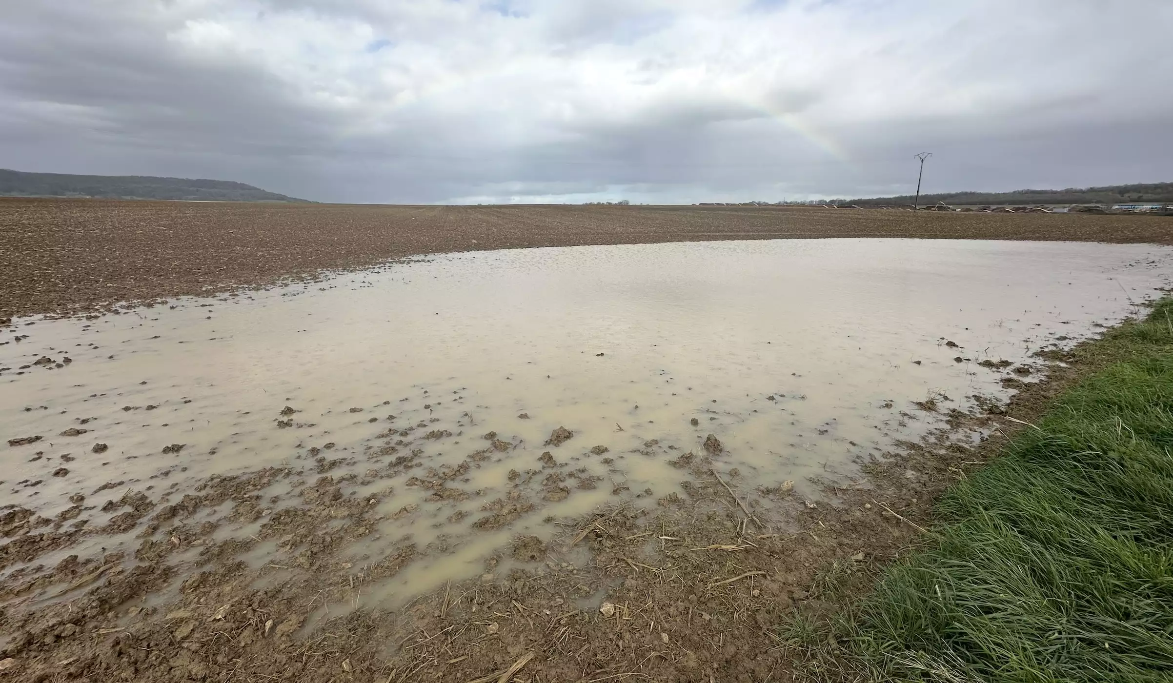 En date du 28 octobre, 41% des semis de blé tendre étaient réalisés contre 60% à la même date en 2023 (Crédit photo : R. Lecocq)