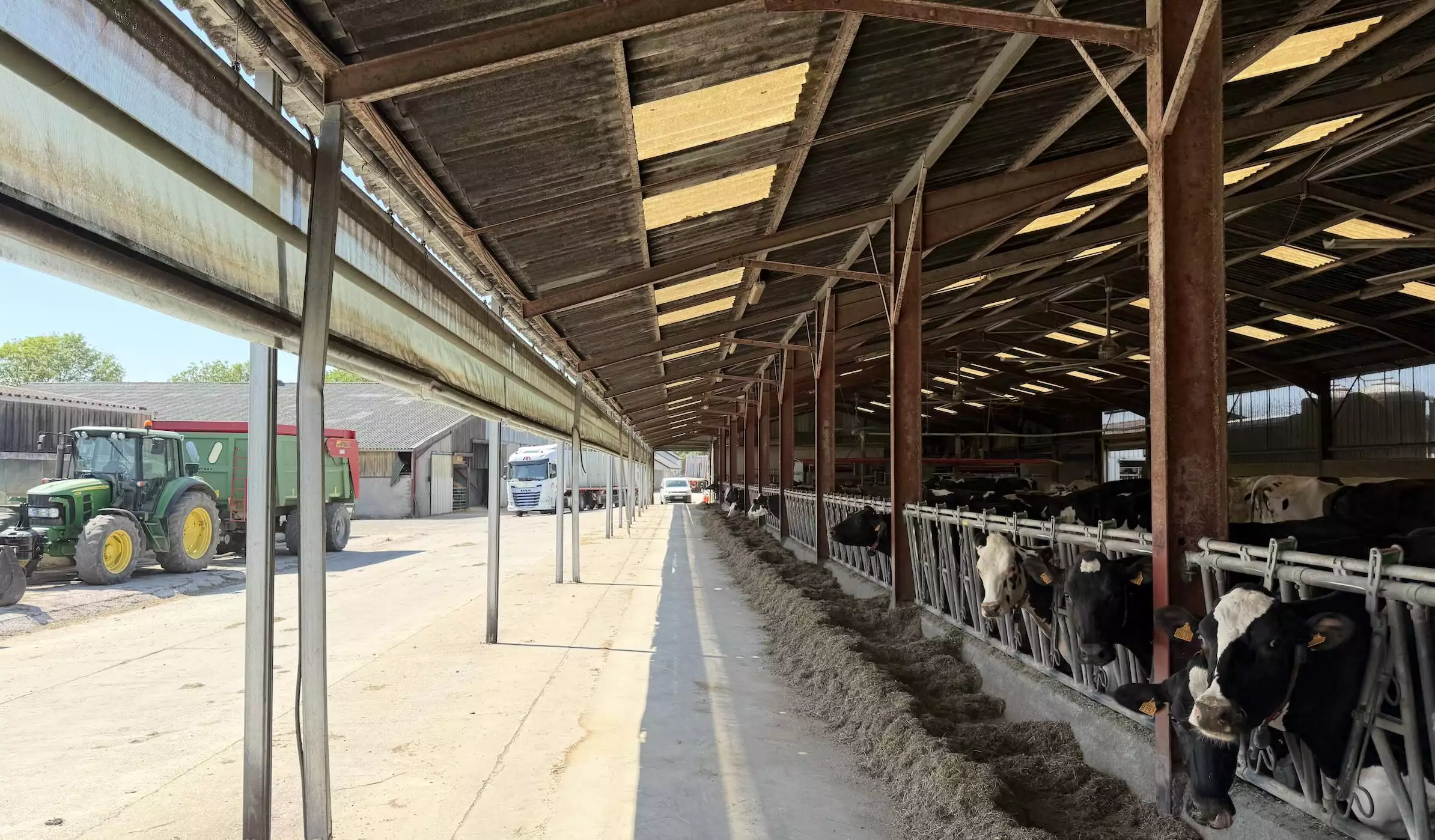 Le Gaec a fait un installer un rideau d’un côté de la stabulation, en attendant le second © R. Lecocq