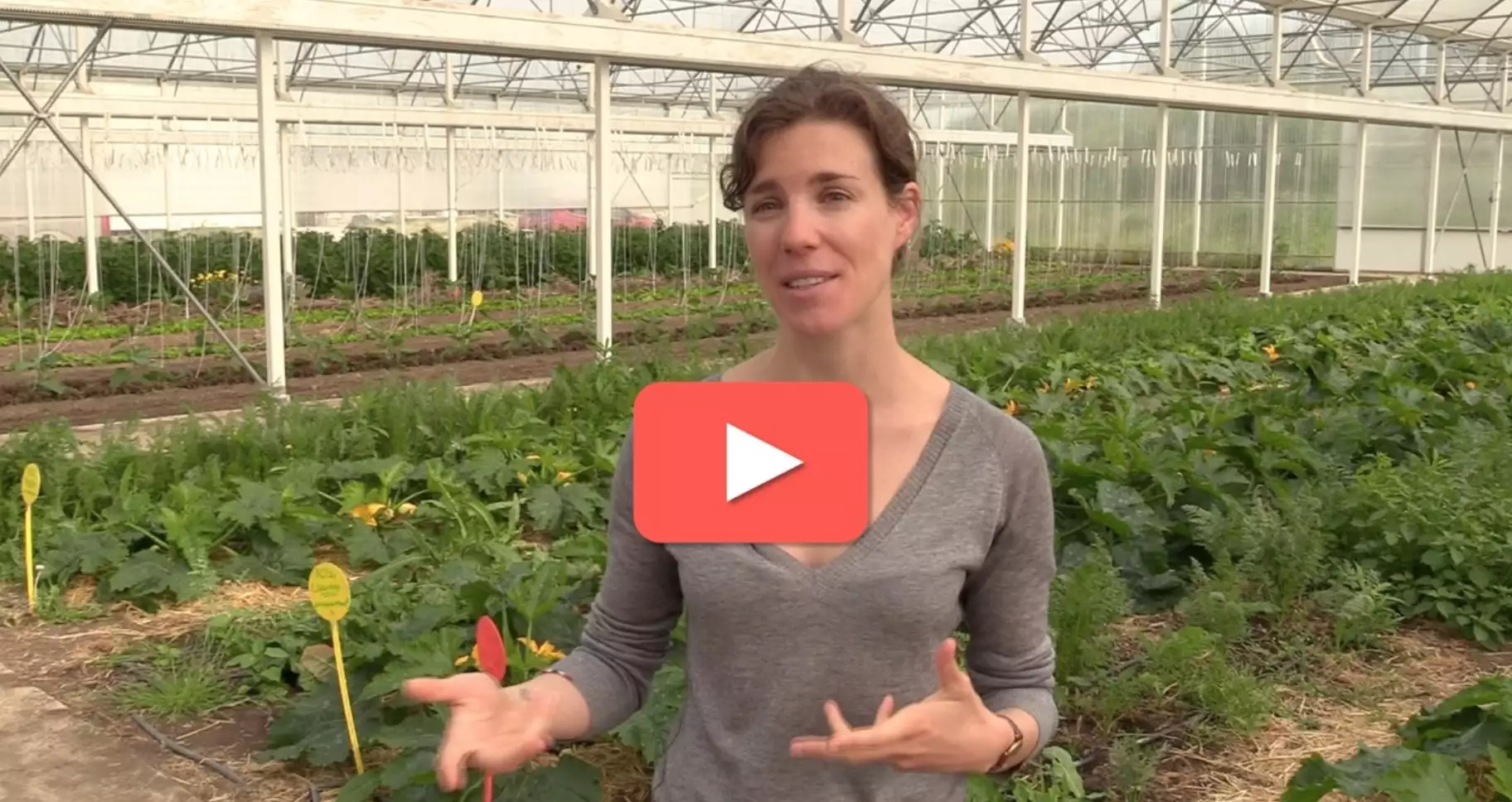 La start-up NeoFarm accompagne les projets de A à Z pour concilier agroécologie et technologie au service d’une production de légumes en circuits courts (Capture d’écran : Adèle Magnard)
