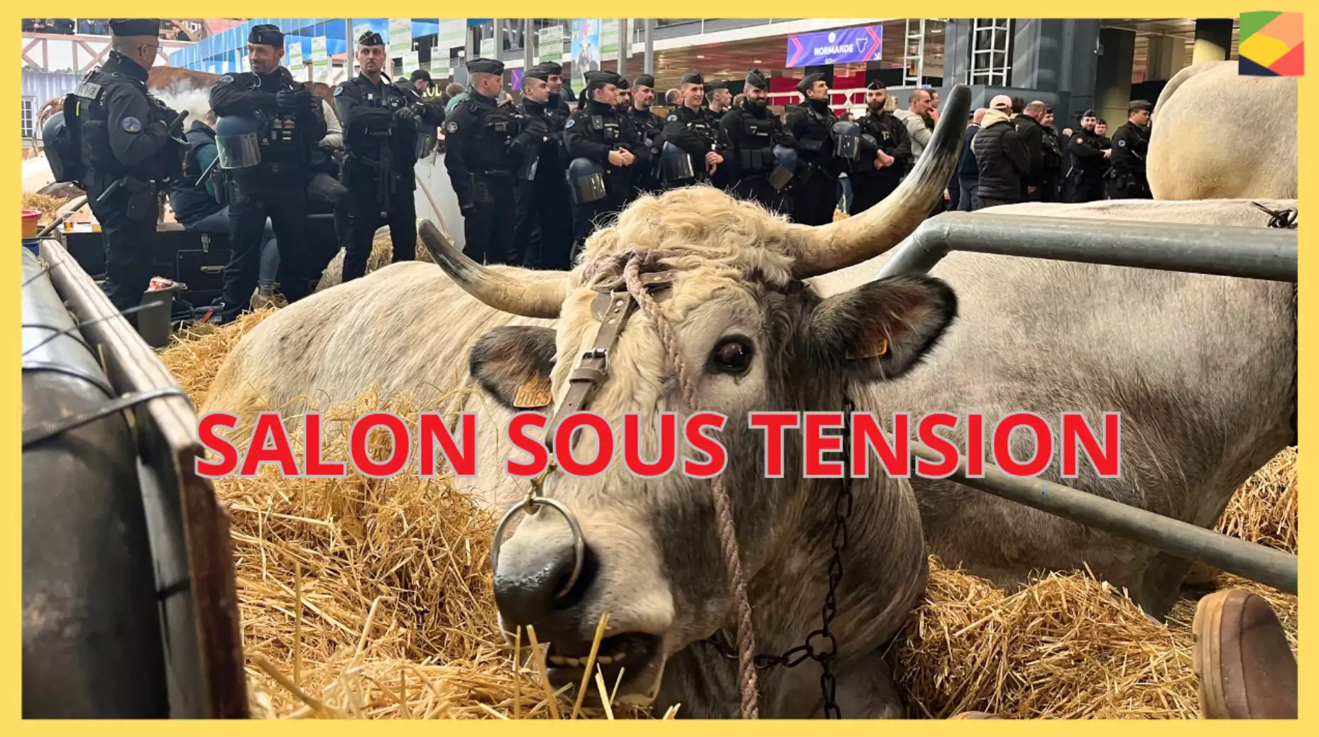 Les forces de l’ordre ont barricadé l’accès au hall 1 une bonne partie de la journée d’inauguration (Crédit Photo : L. Delaroa)