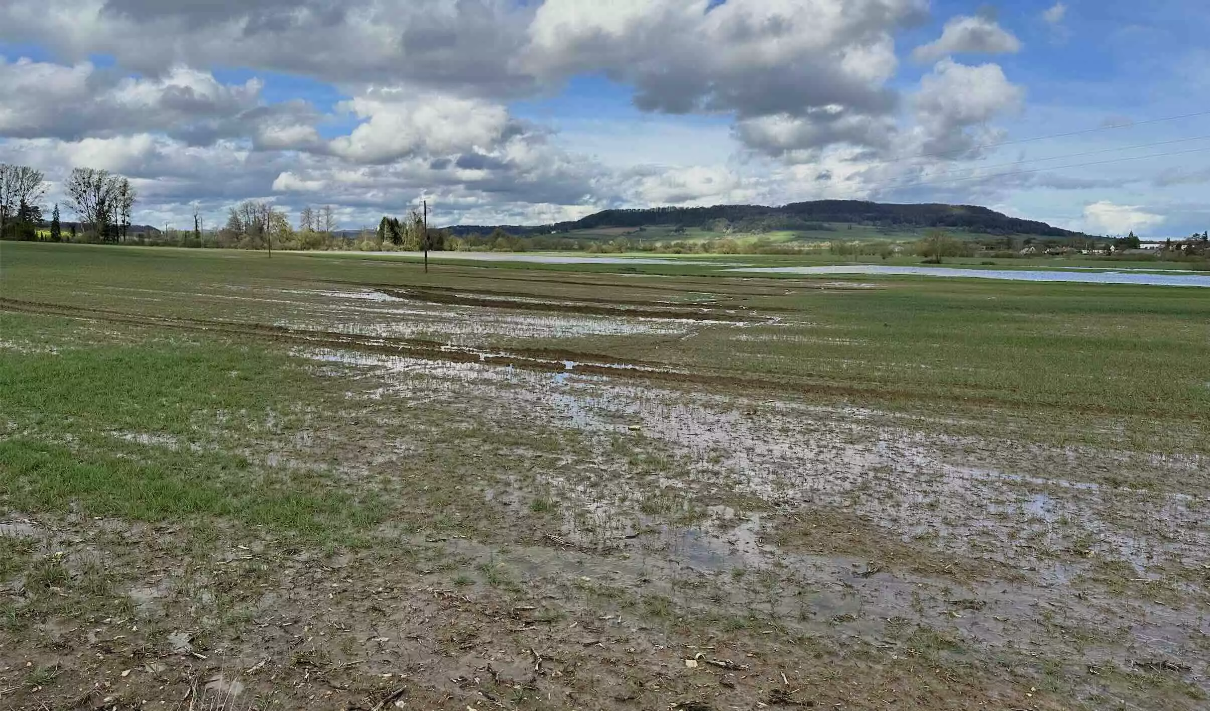 Météo-France relève le contraste entre 2022, particulièrement sèche et ensoleillée, et 2024 particulièrement humide et grise (Crédit photo : R. Lecocq)