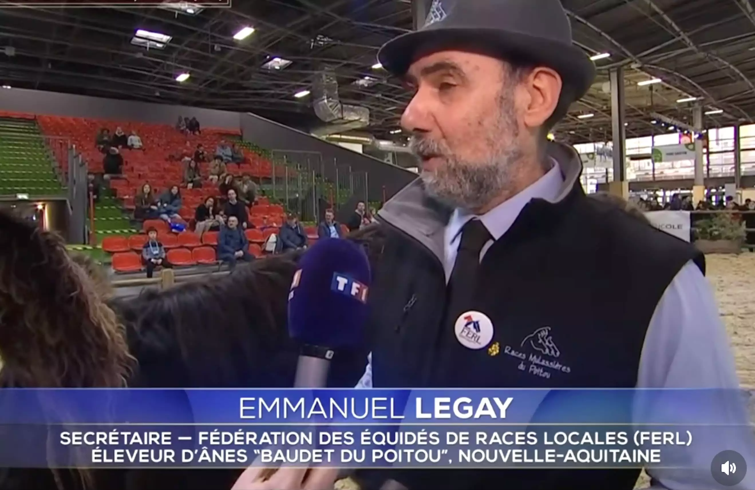 Emmanuel Legay, président du livre généalogique des races mulassières du Poitou et secrétaire de la Fédération des équidés de races locales, en direct au 13 heures de TF1 le dimanche 22 février (Source : capture d’écran TF1)
