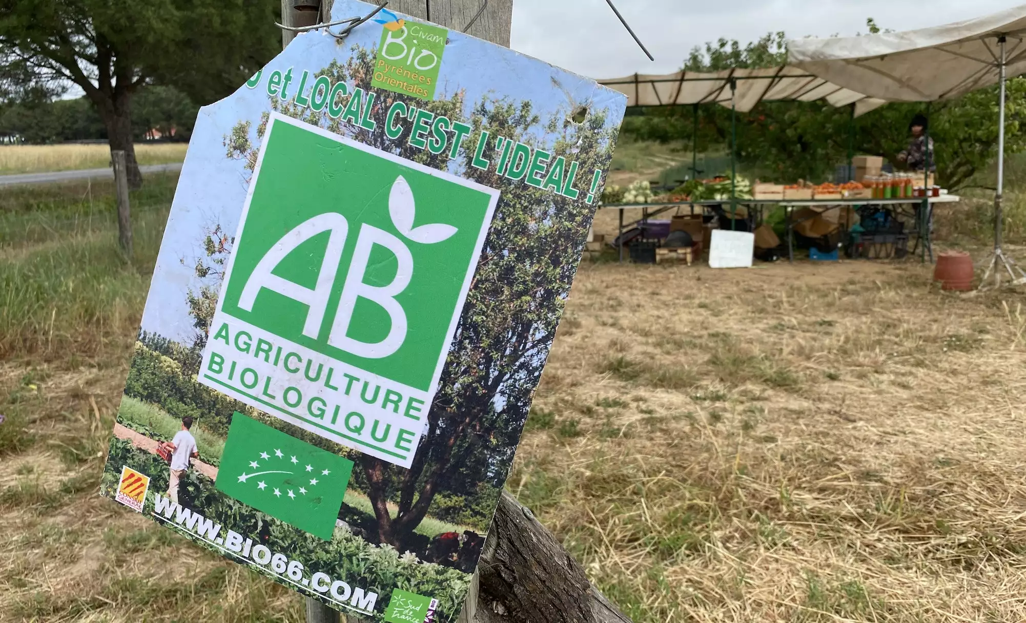 En 2023, la SAU bio a baissé de 2% mais le nombre de fermes bio a augmenté de 2% (Crédit photo : R. Lecocq)
