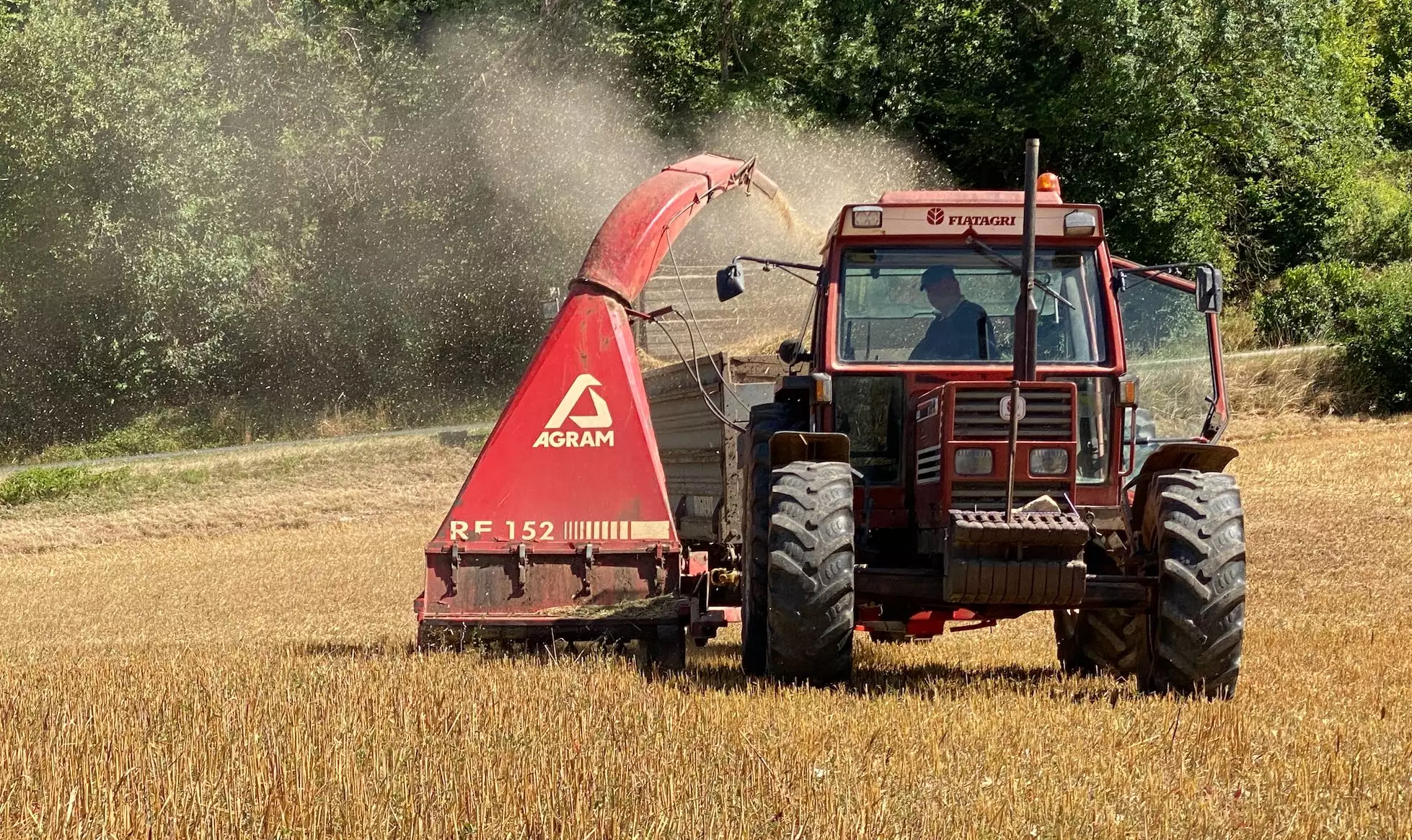 D’ordinaire, l’ensileuse tractée sert à affourager les vaches à l’automne avant leur retour en bâtiment