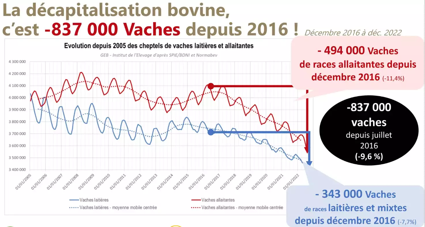 Trajectoire de la décapitalisation bovine depuis 2016 (Source : Institut de l’élevage)