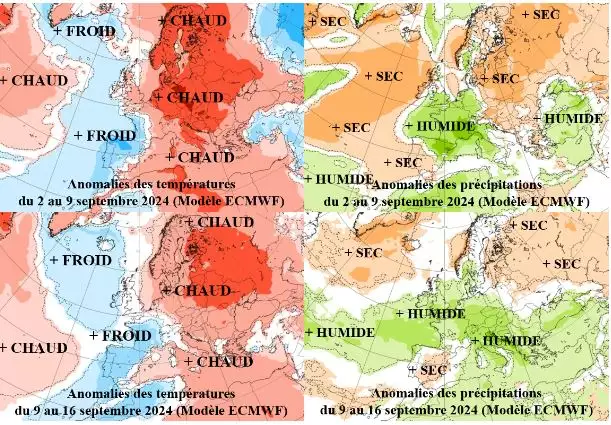 Anomalies des températures et des précipitations prévues par le modèle européen (ECMWF) entre 2 et le 16 septembre 2024