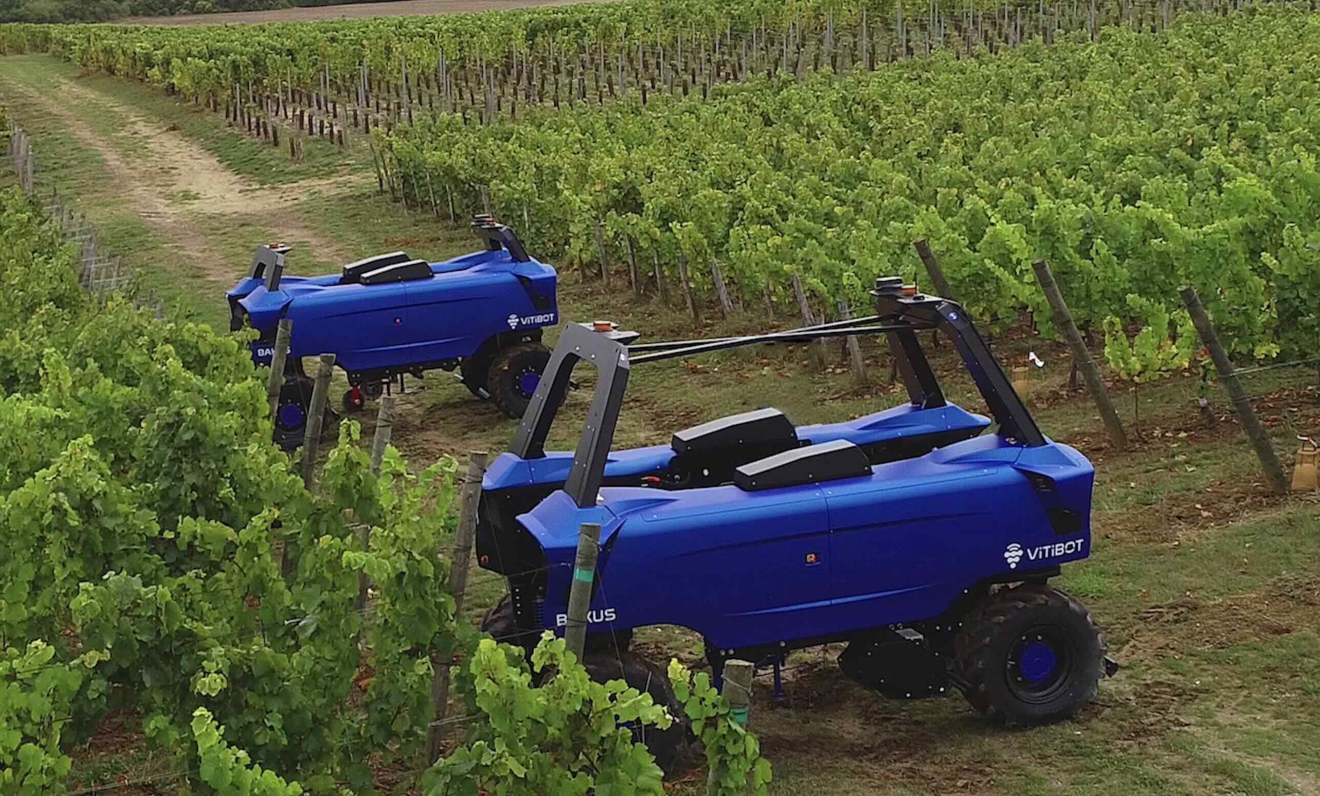 La gamme actuelle compte deux modèles (voie de 110 cm ou 130 cm) d’une autonomie de 10 heures © Vitibot