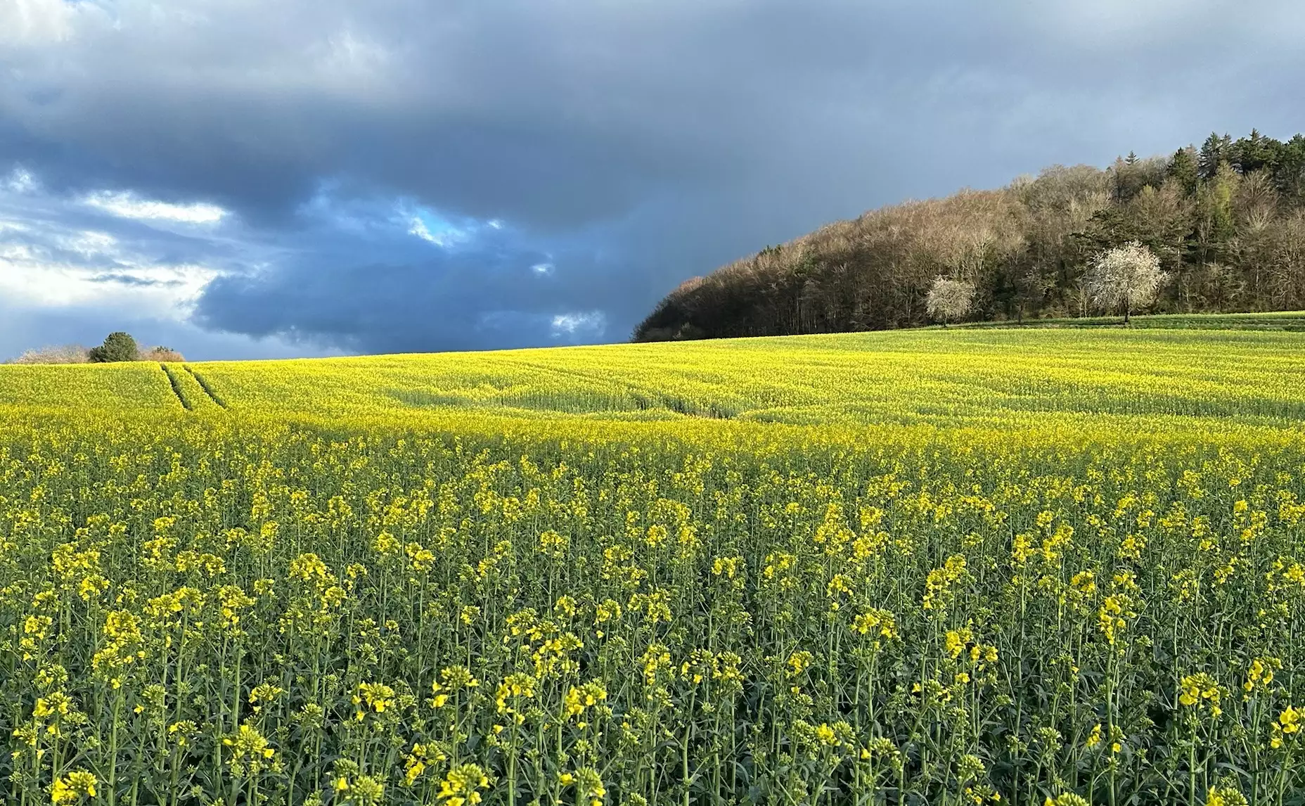 Les propriétaires-bailleurs entendent peser sur une très hypothétique réforme de la politique foncière (Crédit photo : R. Lecocq)