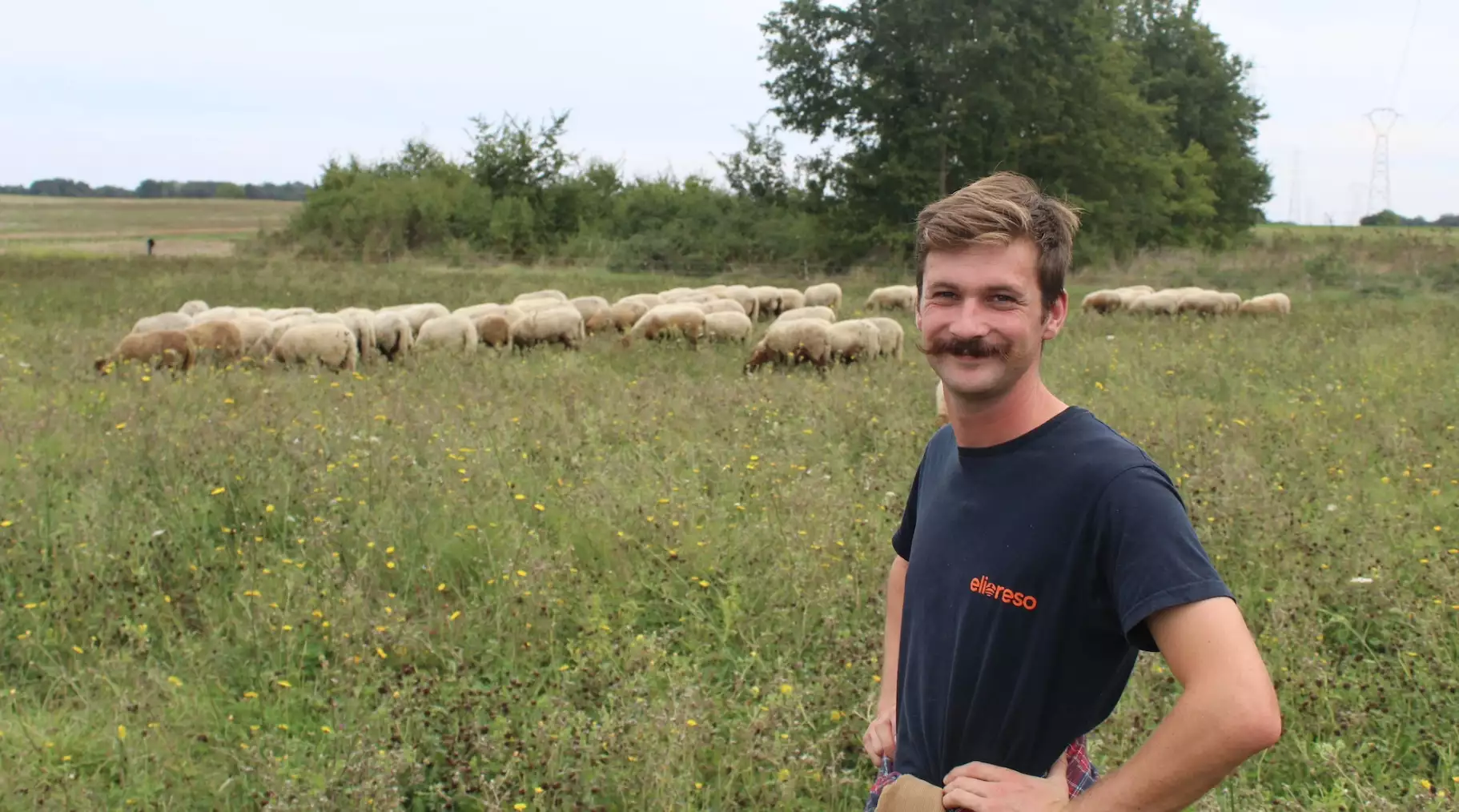 Thomas Vauthier avec son troupeau sur une parcelle voisine de son exploitation (Crédit photo : Tanguy Dhelin)