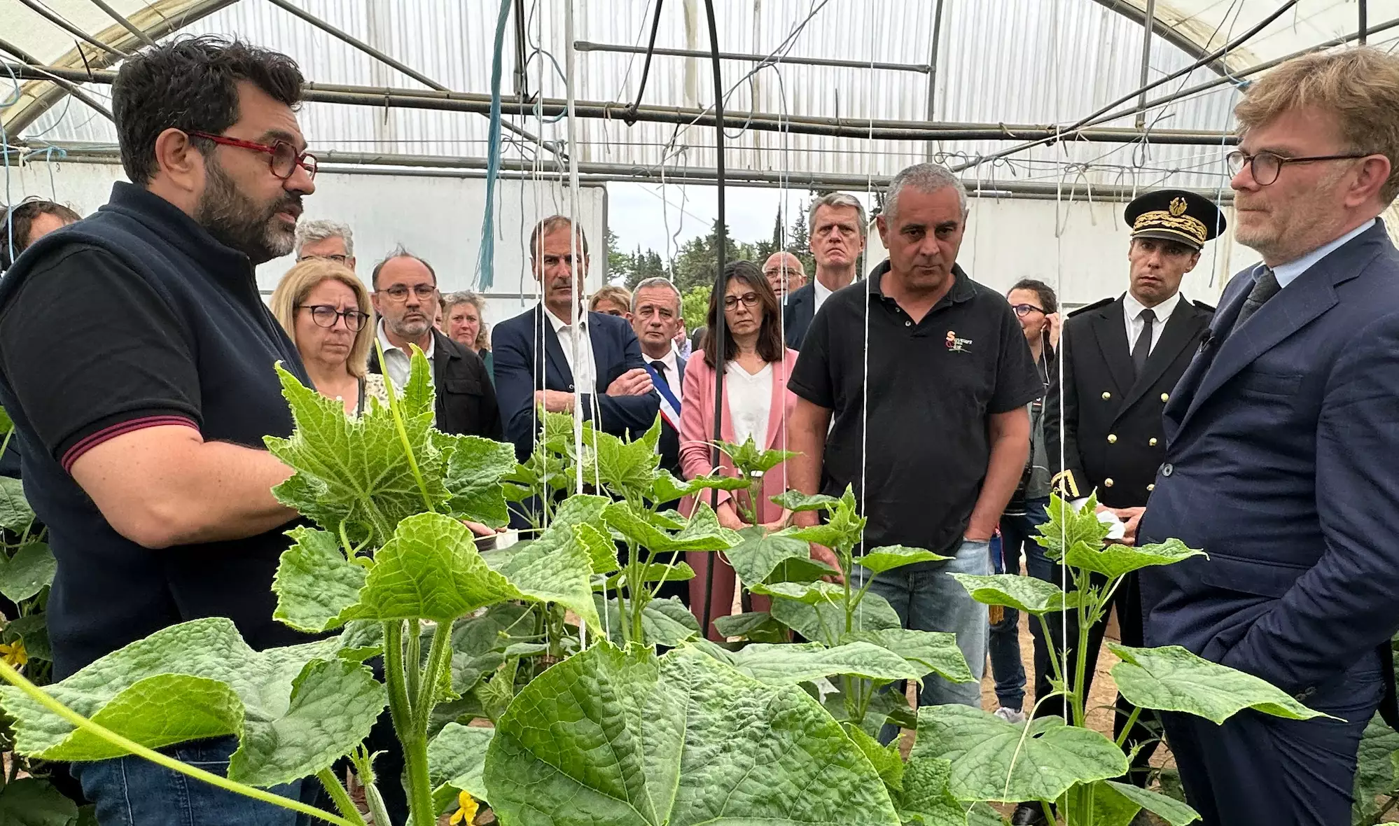 Bruno Vila, président de la FDSEA des PO et le ministre de l’Agriculture dans une serre froide produisant du concombre à Ille-sur-Têt