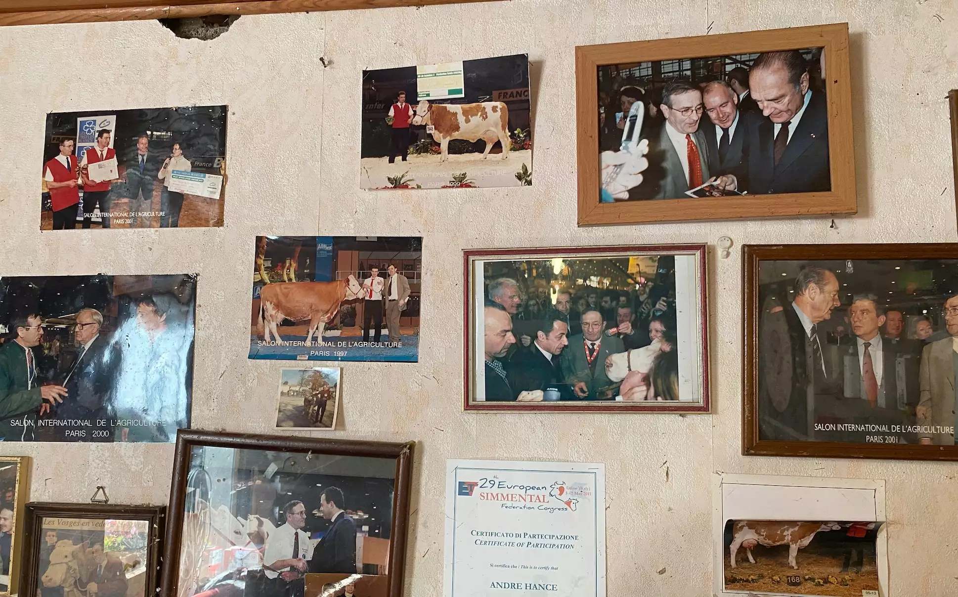 Engagé depuis des décennies dans la sélection de Simmental, le Gaec a remporté de nombreux prix, notamment à Paris, comme ce fut encore le cas en 2022 avec la vache Pomme