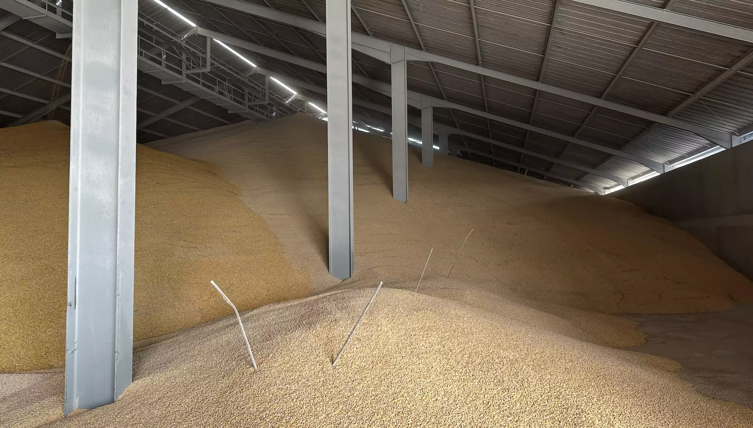 Selon l’AGPM, 77,5% des substances actives autorisées pour les producteurs du Mercosur qui exportent leur maïs vers l’UE sont interdites en France