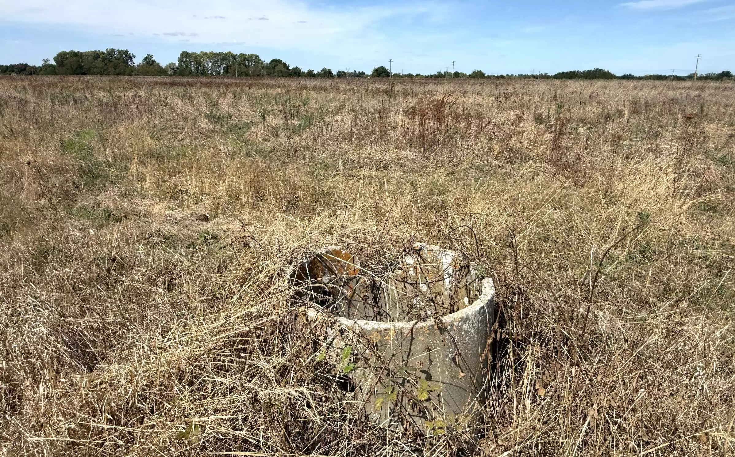 Entre Grenade-sur-Garonne (31) et Aucamville (82), une parcelle de 30 ha 100% irrigable et en friche, le 10 septembre 2026© R. Lecocq