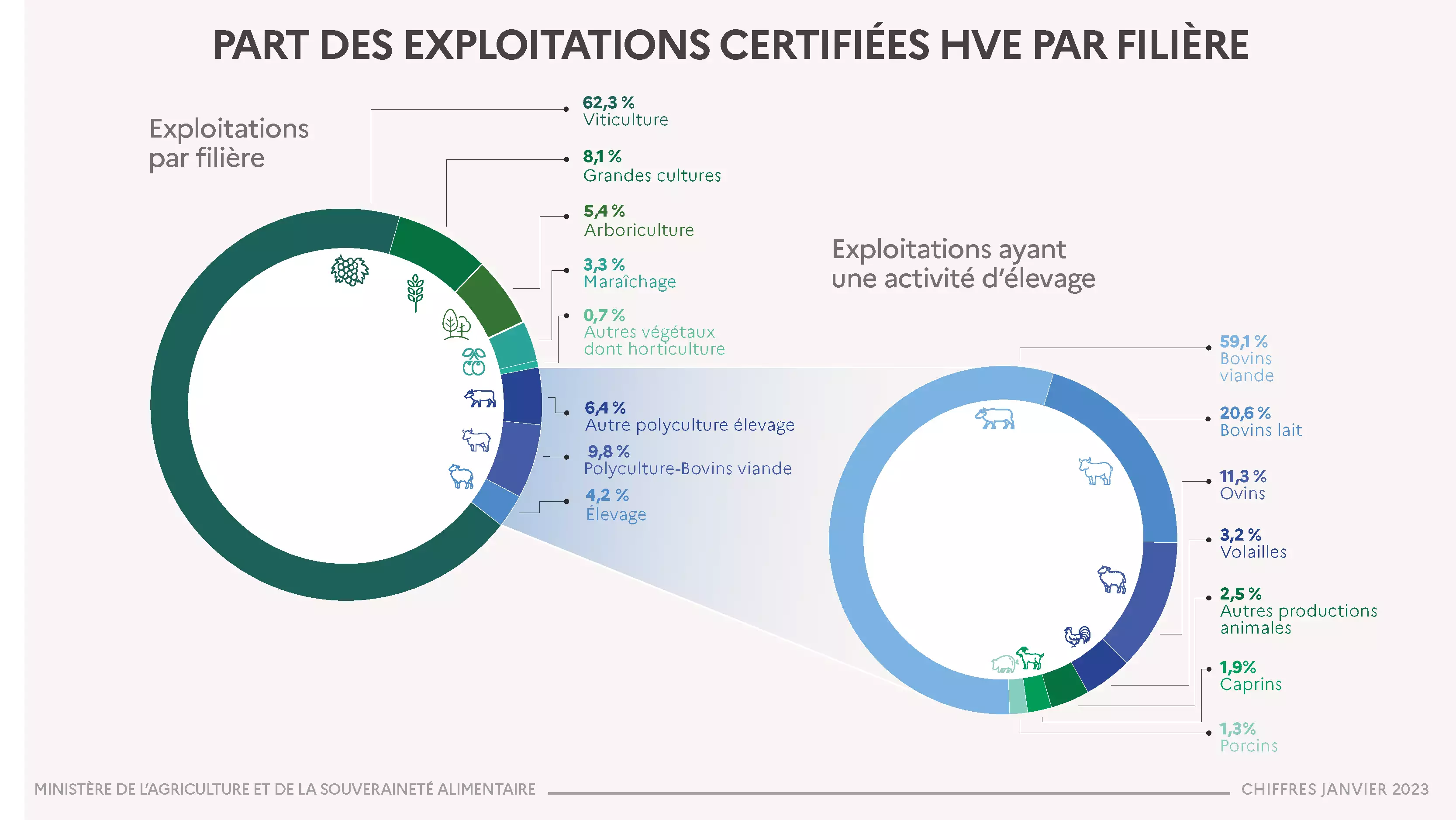 Part des exploitations certifiées par filière (Source : ministère de l’Agriculture)