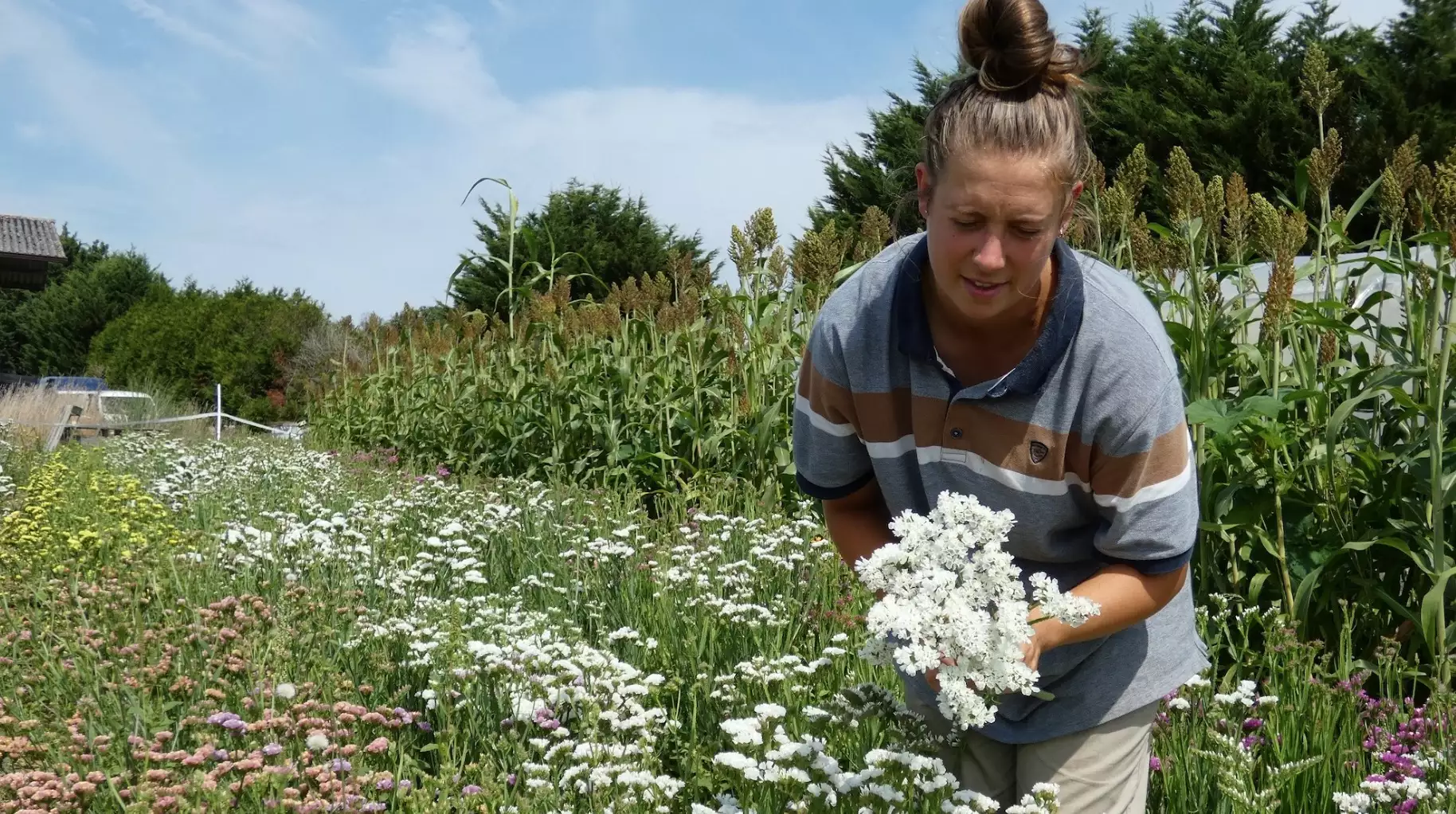 Joséphine Mullet a longtemps hésité avant de se lancer dans la production de fleurs car elle était « non alimentaire ». Mais une collègue maraîchère l’a encouragée en lui disant : « Les fleurs sont la nourriture de l’âme » (Crédit photo : Joséphine Mullet - Les Immortelles)