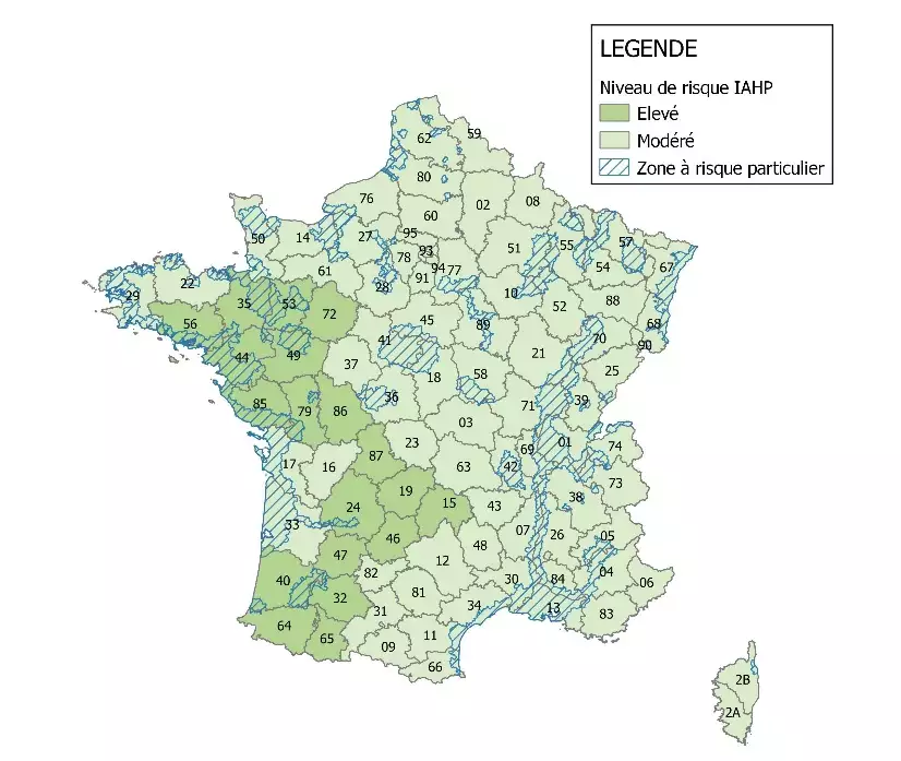 Cartographie des niveaux de risques d’influenza aviaire en date du 10 mai (Source : ministère de l’Agriculture)