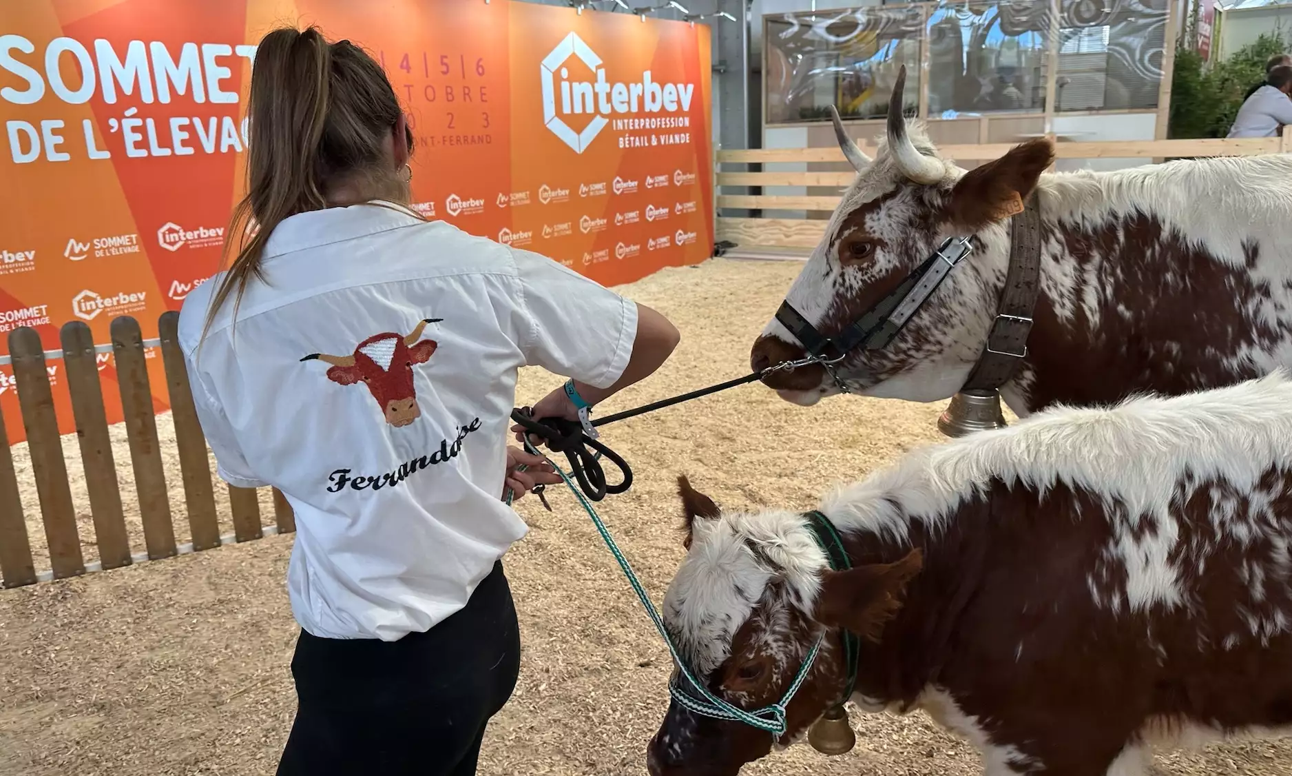 120.000 visiteurs, dont une nouvelle ministre de l’Agriculture, sont attendus à Cournon du 1er au 4 octobre (Crédit photo : R. Lecocq)