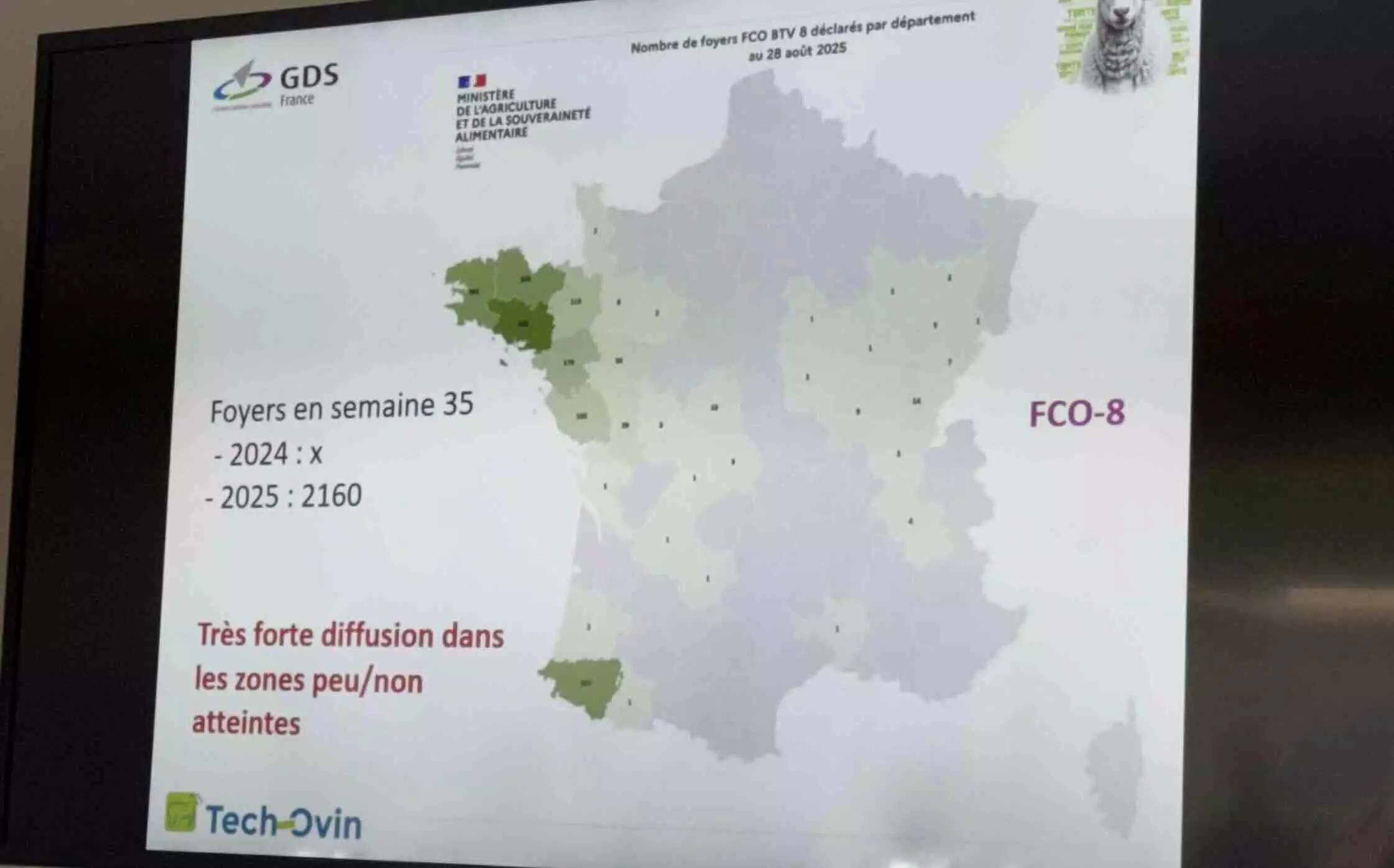 Situation de la FCO-8 en semaine 35 (25-31 août) (Source : DGAL – GDS France)
