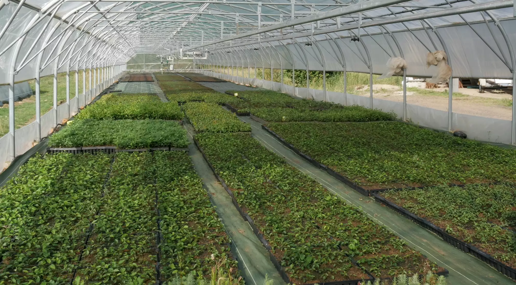 De 5 millions/an, la filière Végétal local va monter à 9 millions/an de plants, équivalant grosso modo à 9000 km de haies (©Afac-Agroforesteries)