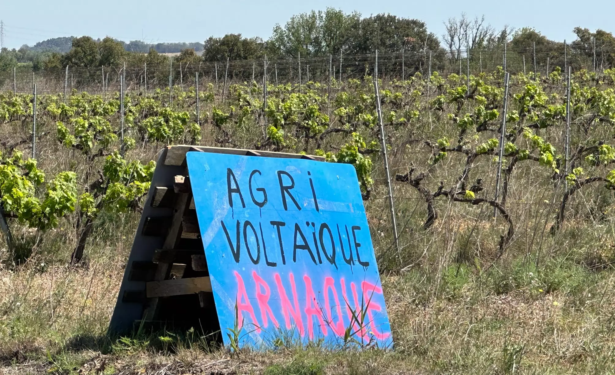 Dans les Pyrénées-Orientales, un projet de Sun’Agri se heurte à des opposants, ce qui n’a pas été le cas à Claira