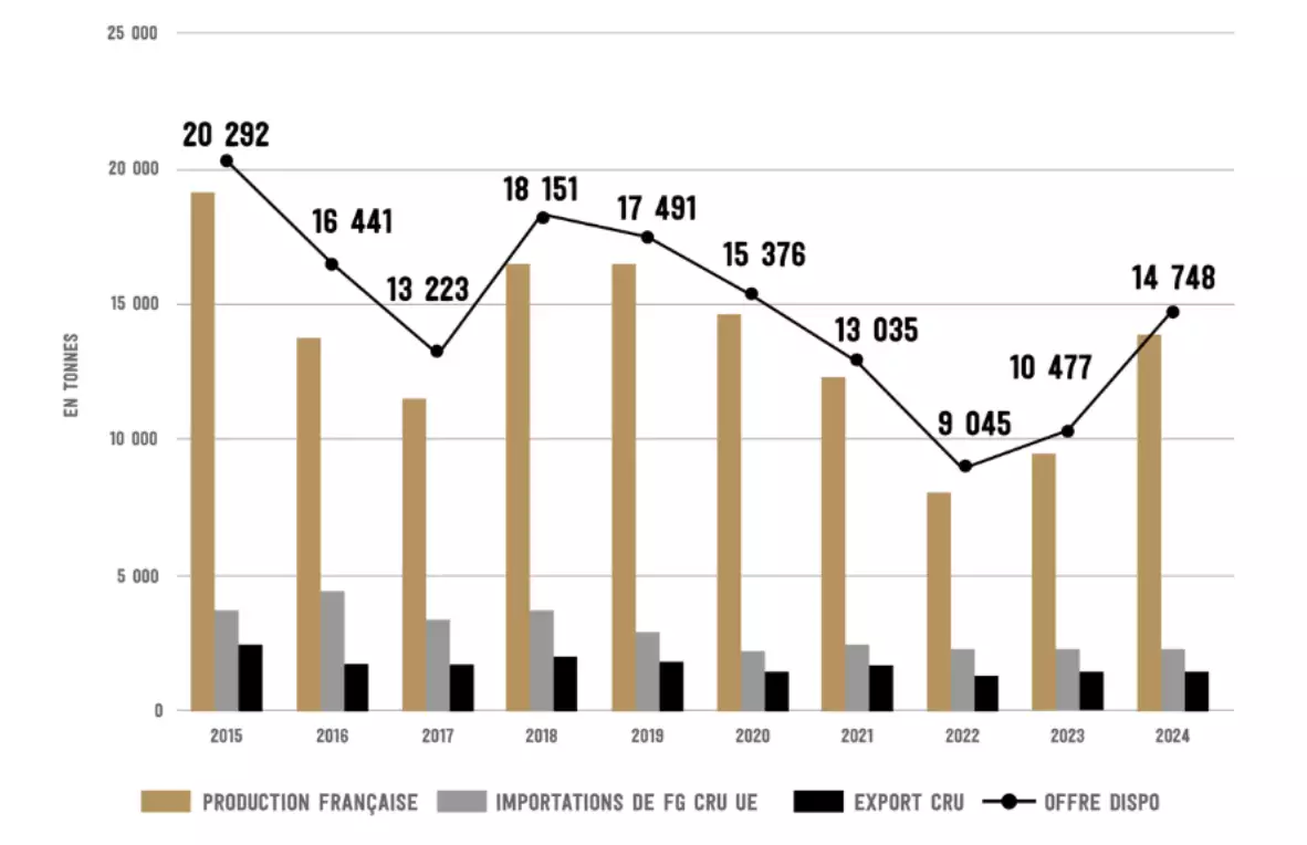 Evolution de la production de foie gras entre 2015 et 2024 (Source : Cifog)