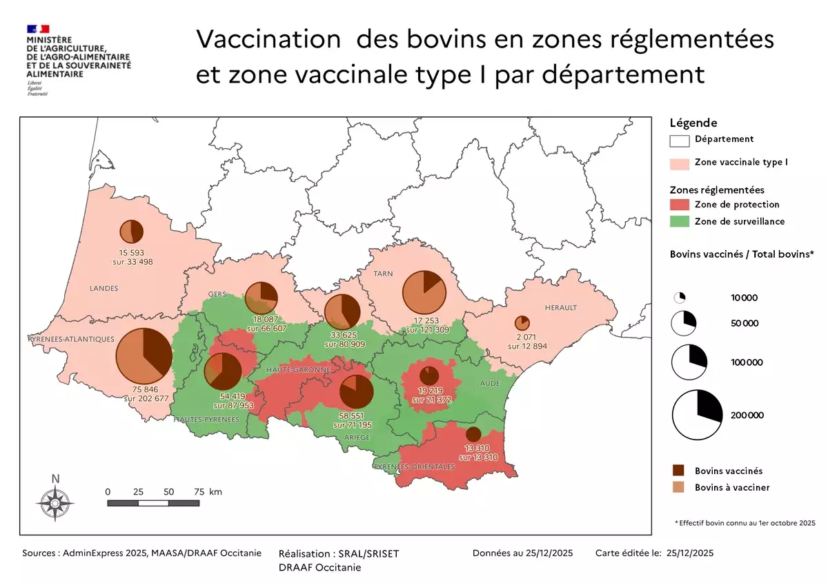 Contexte sanitaire et situation vaccinale en Occitanie et Nouvelle-Aquitaine en date du 25 décembre (Source : ministère de l’Agriculture)