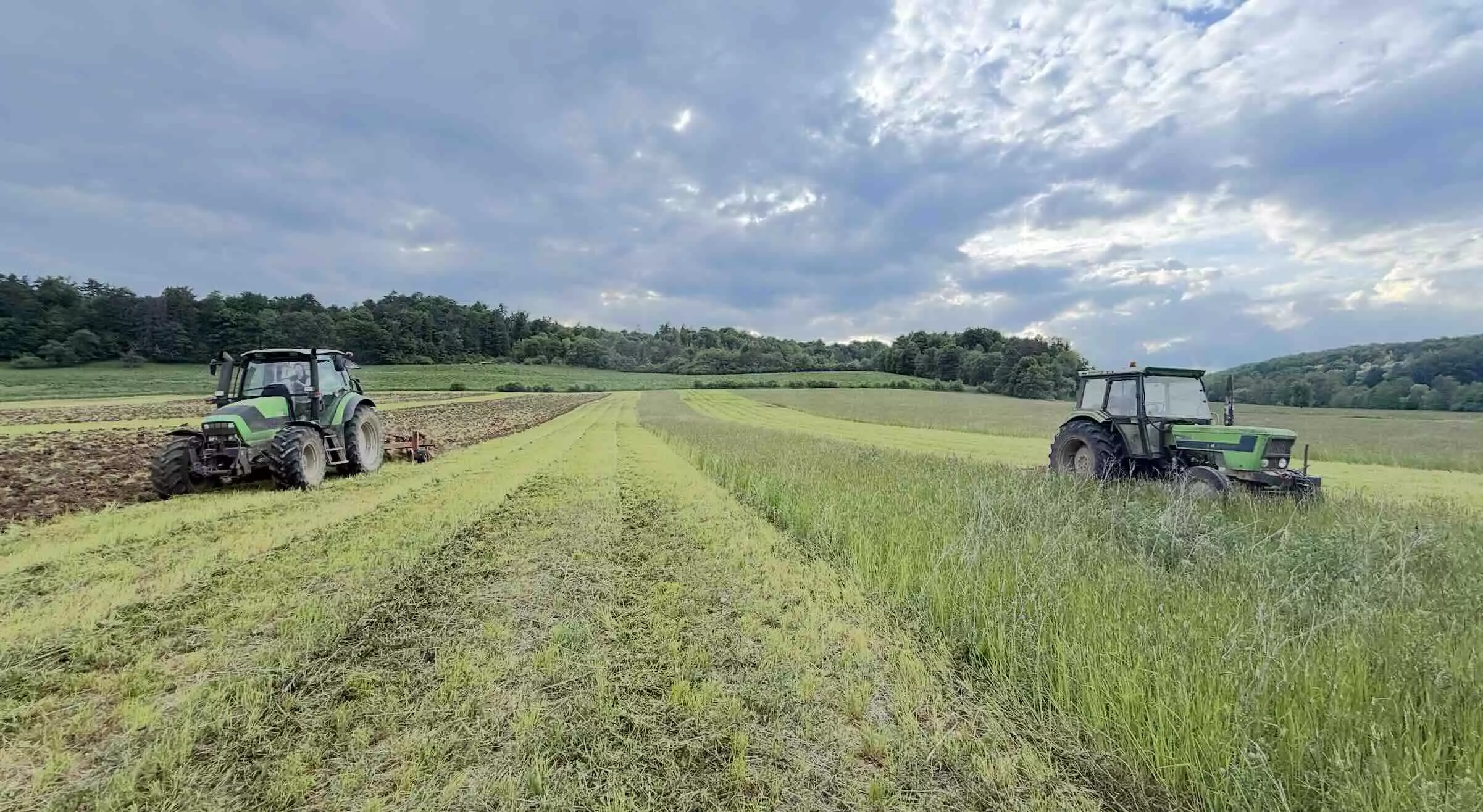 Les systèmes introduisant de la prairie maintiennent leur niveau de marge semi-nette, notamment grâce à la baisse des charges opérationnelles de près de 30% (Crédit photo : R. Lecocq)
